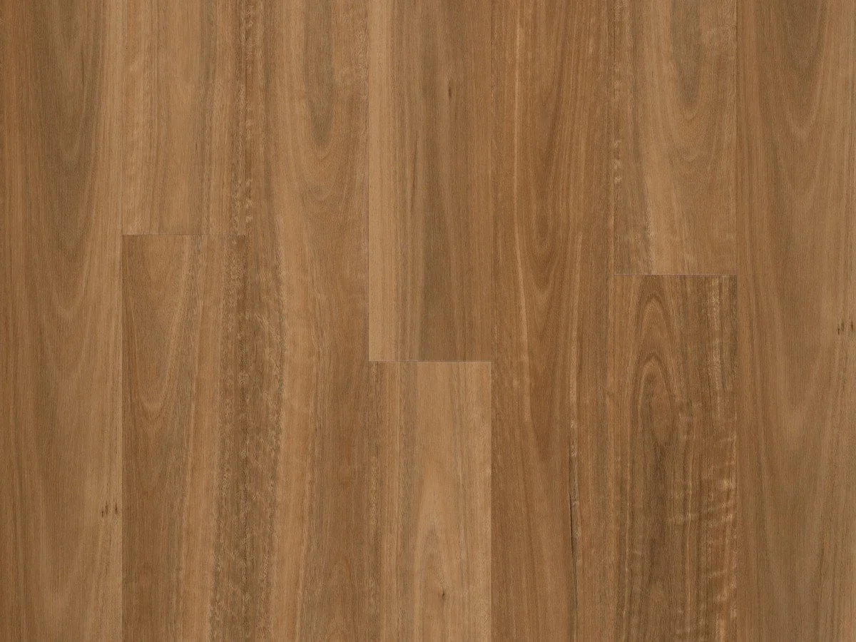 SPOTTED GUM