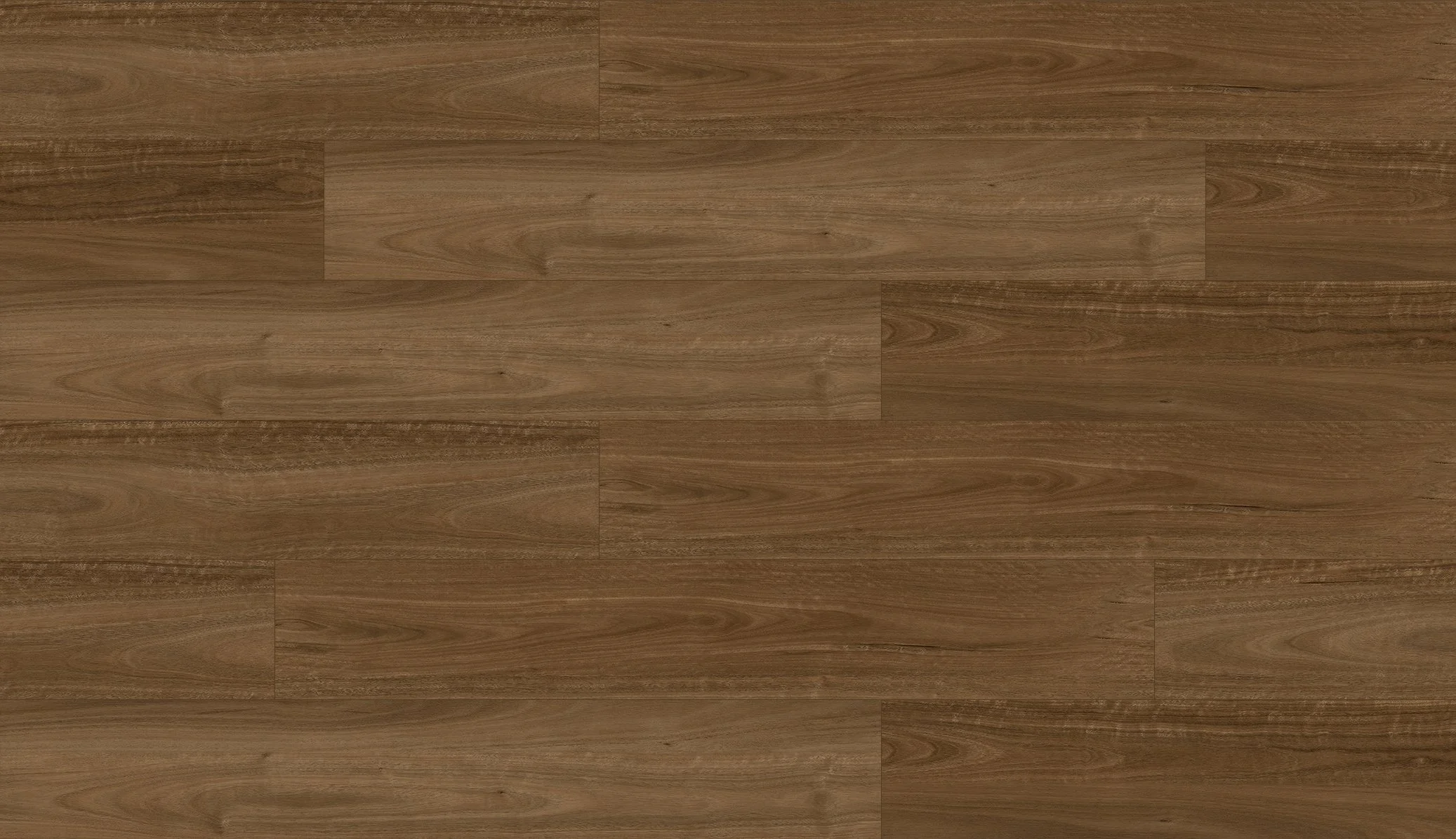 SPOTTED GUM