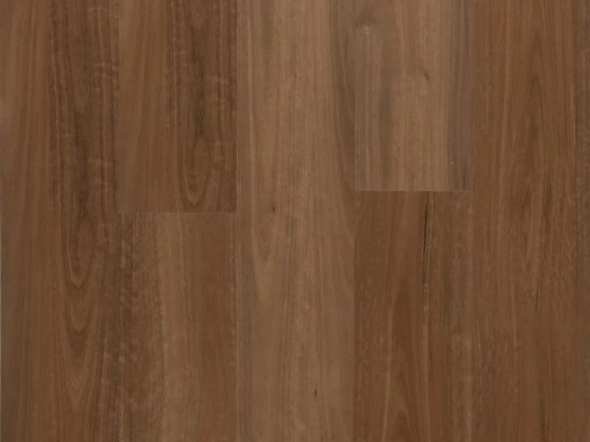 SPOTTED GUM