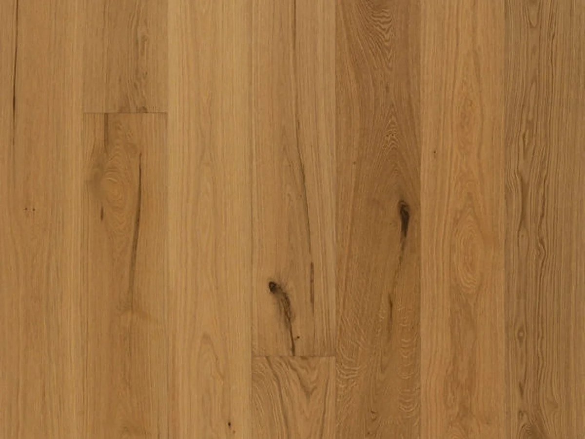 TASMAN OAK