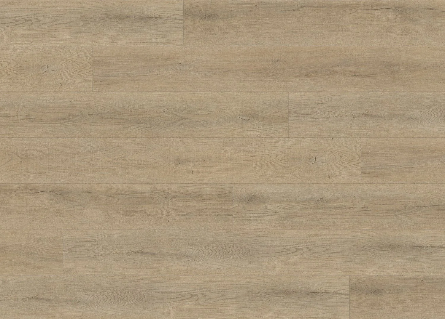ALPINE OAK