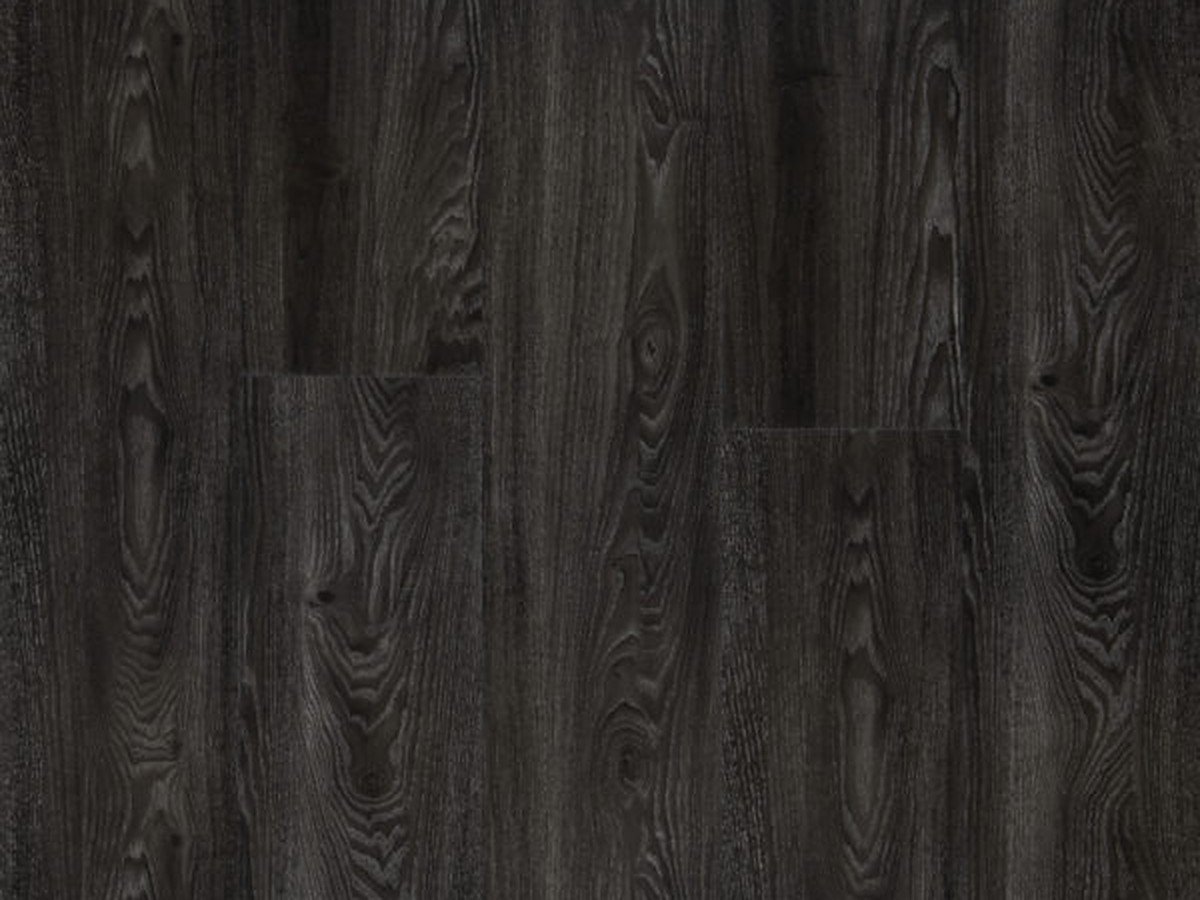 MIDNIGHT OAK