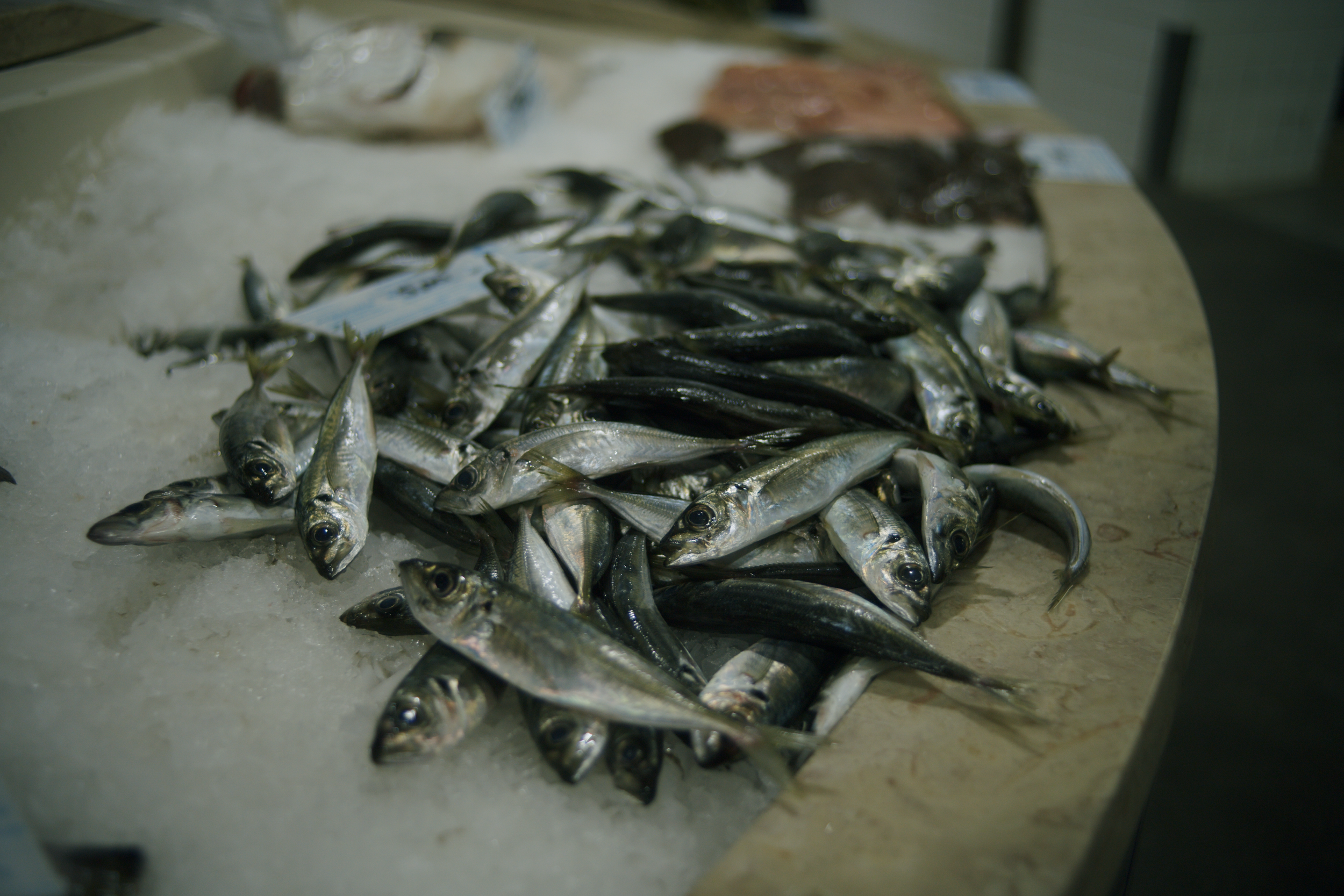 Fresh Sardines fish displayed on ice at a seafood market.