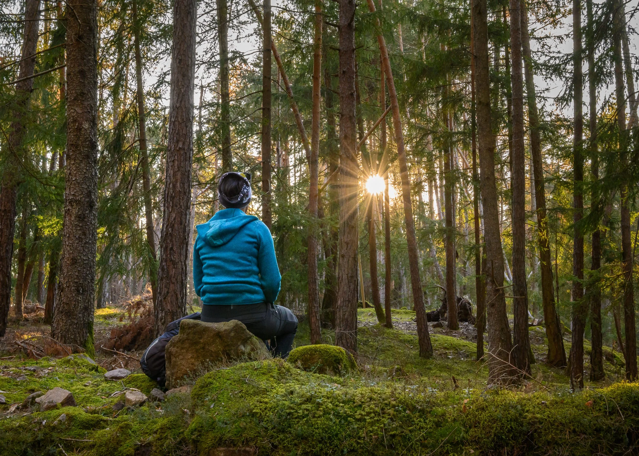 Person sitting on a mossy rock in a forest, looking at the sun shining through tall trees during sunset or sunrise.