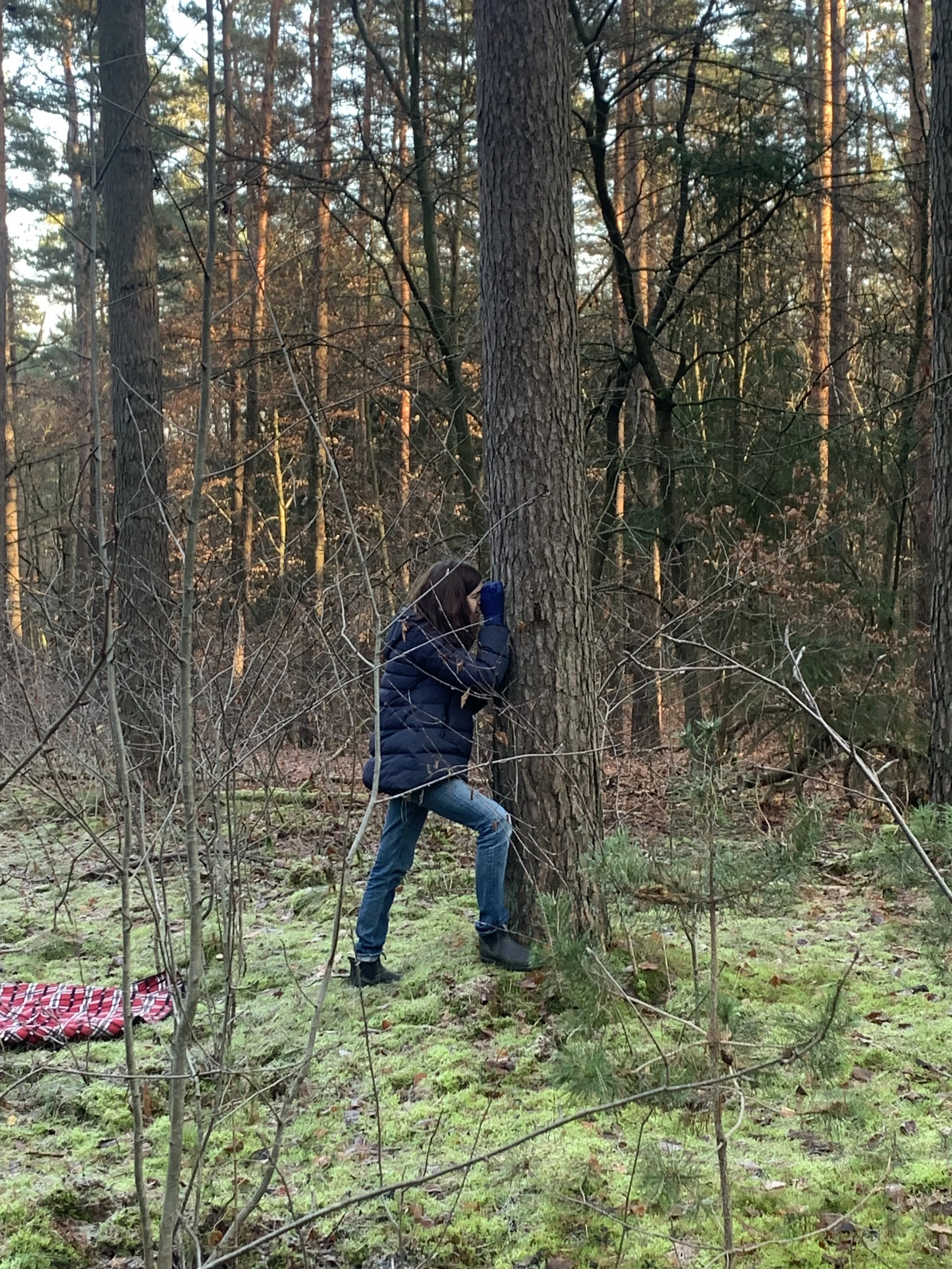 Achtsamkeit erproben beim Waldbaden Shinrin-Yoku
