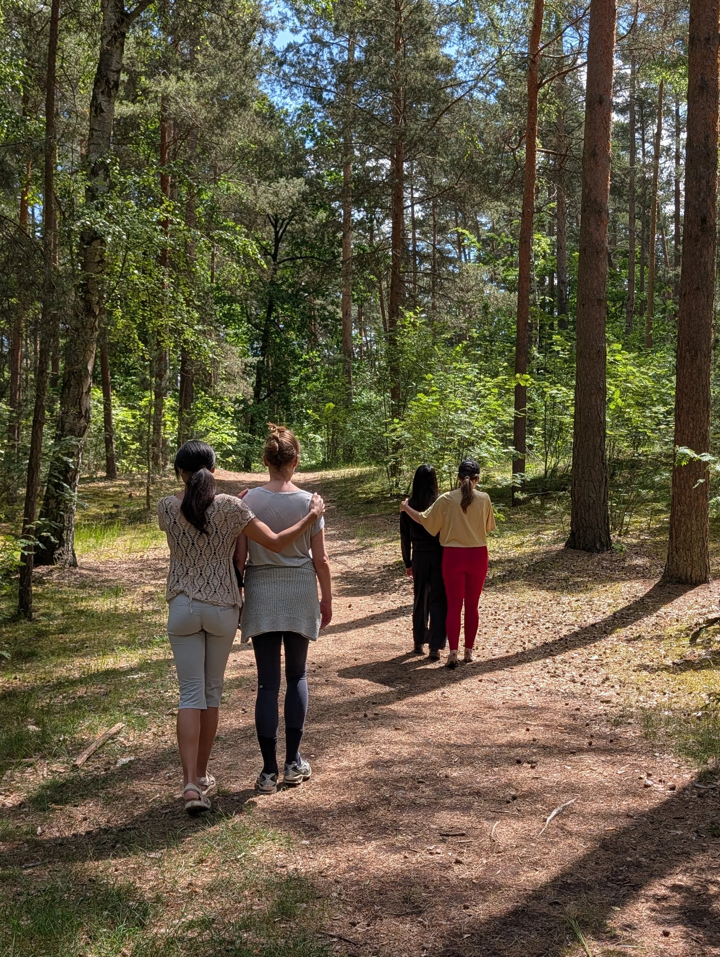 Eine Auszeit im Wald: 3 Stunden geführtes Waldbaden