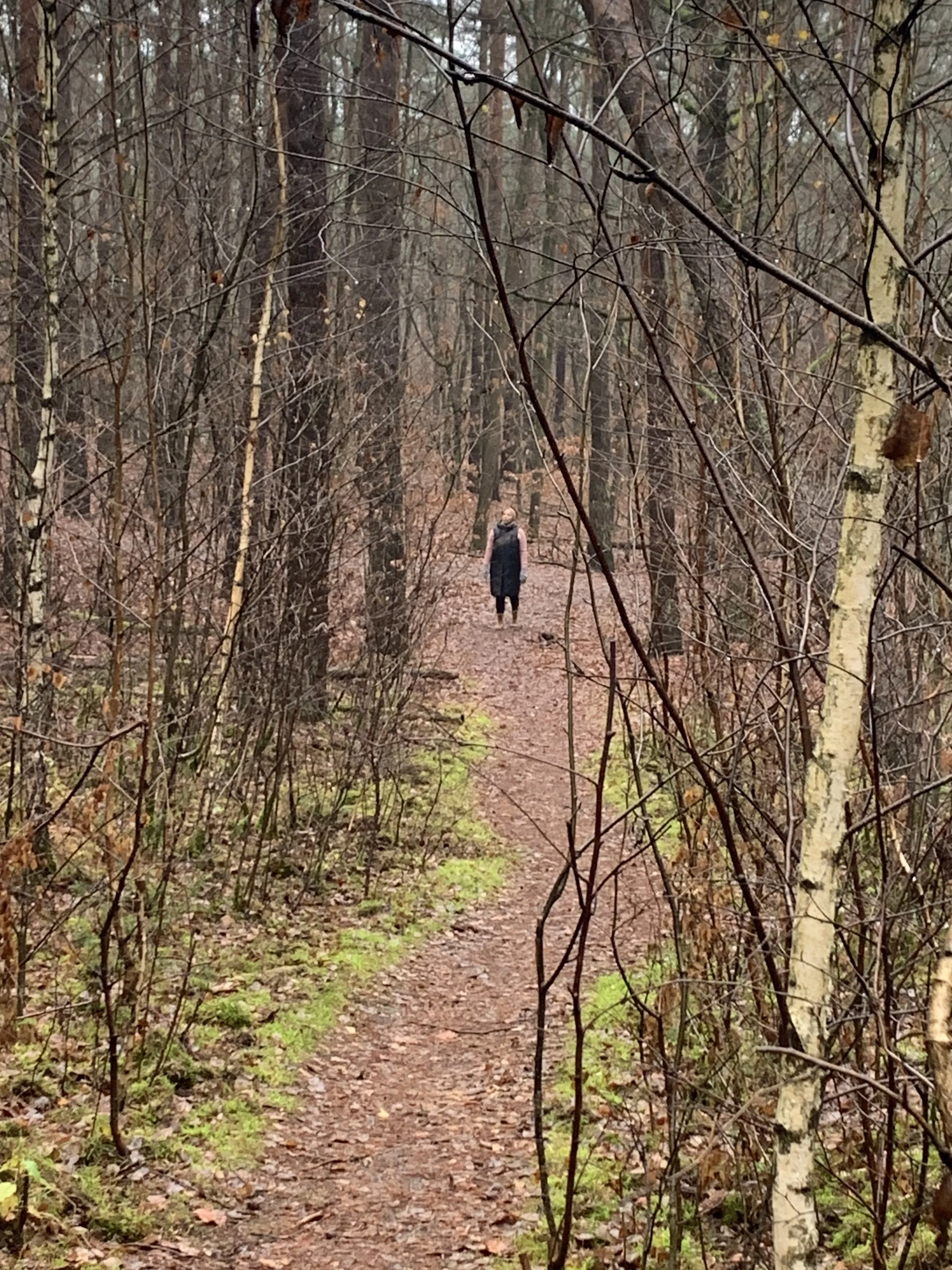 Schritt Meditation beim Waldbaden Shinrin-Yoku