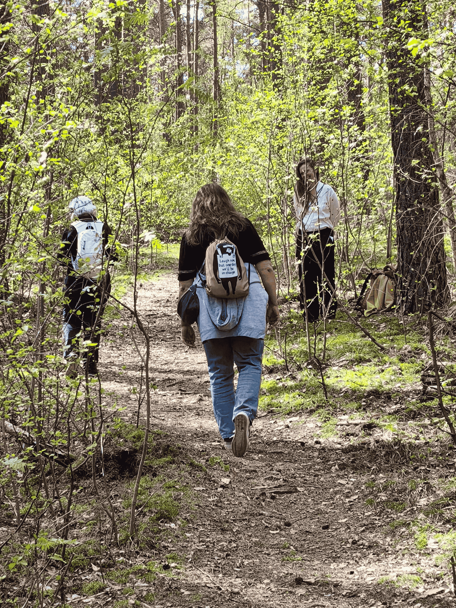 Gehmeditation Wald.png