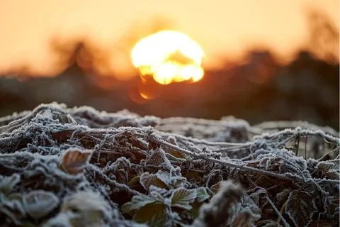 21.12.2026: Wintersonnenwende im Wald: Rauhnächte-Special