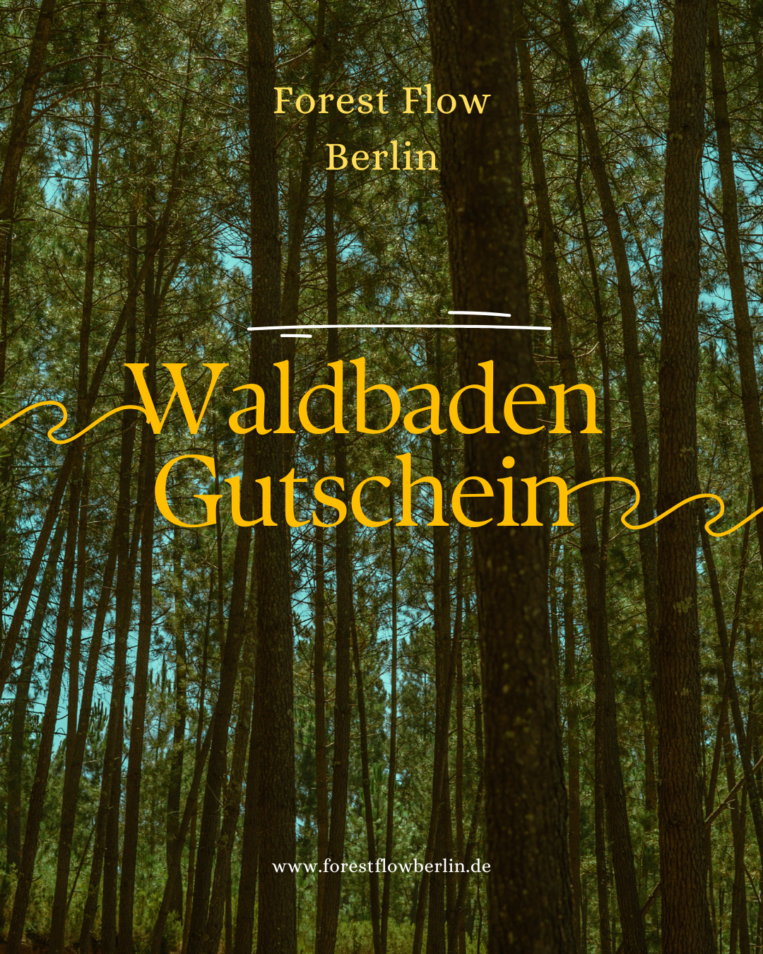 Forest Flow Berlin Gutschein für Gruppenwaldbaden