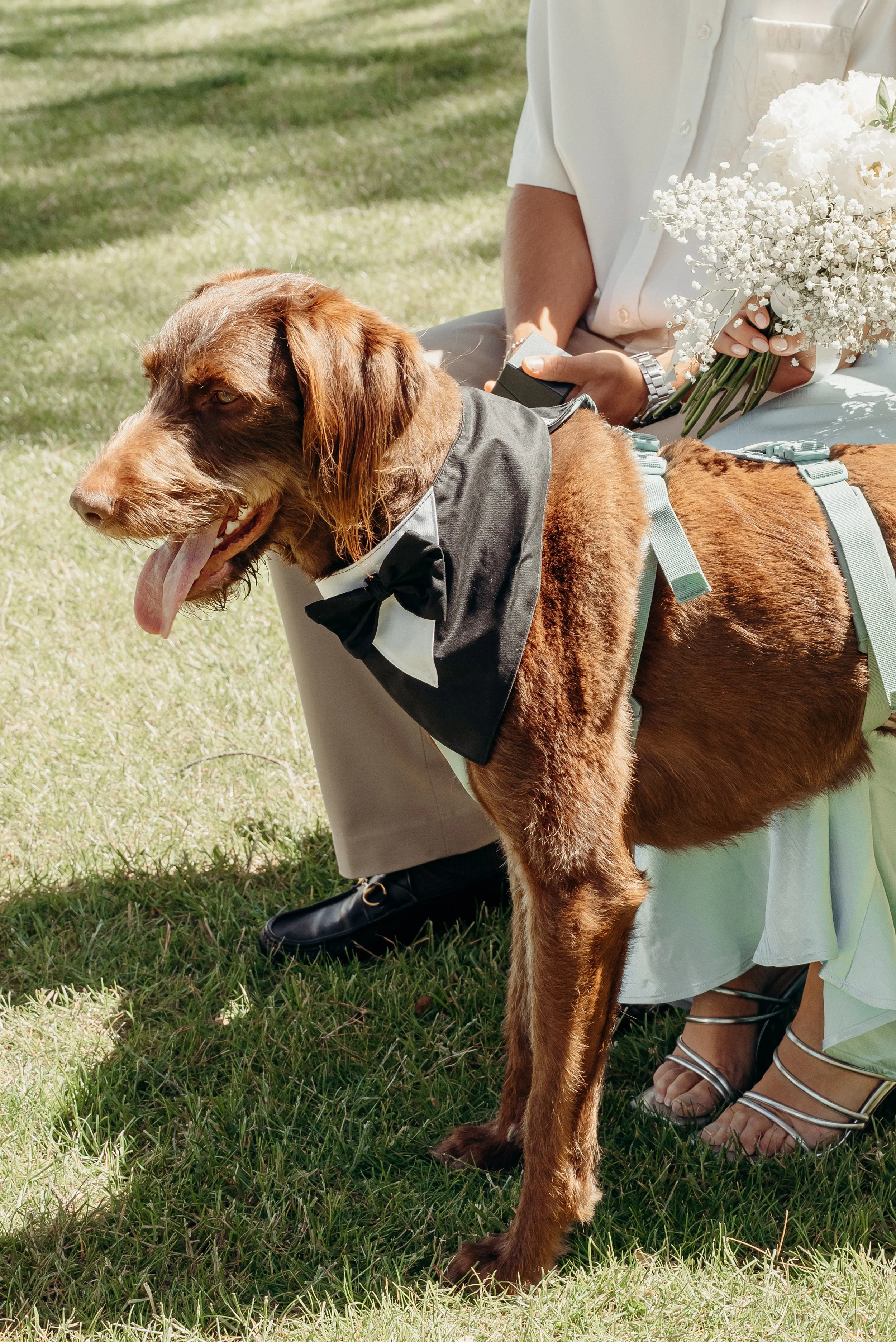 A woman in a white dress standing outdoors on a sunny day, holding a bouquet of flowers, with a grassy field and trees in the background.