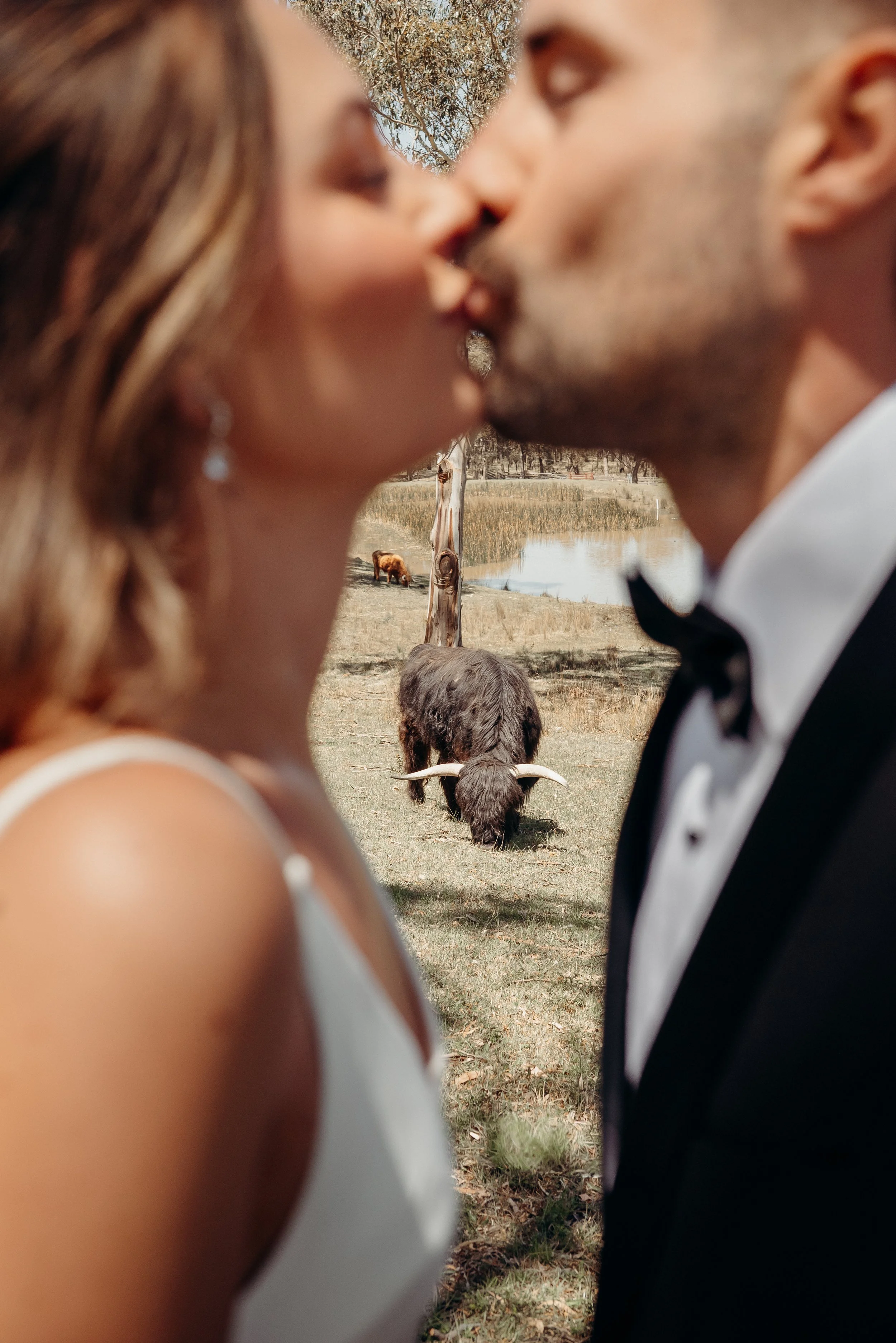 Close-up of a bride and groom holding hands, with the groom's hand over the bride's, showing wedding rings. The bride wears a white dress and jewelry, and the groom is dressed in a black suit.
