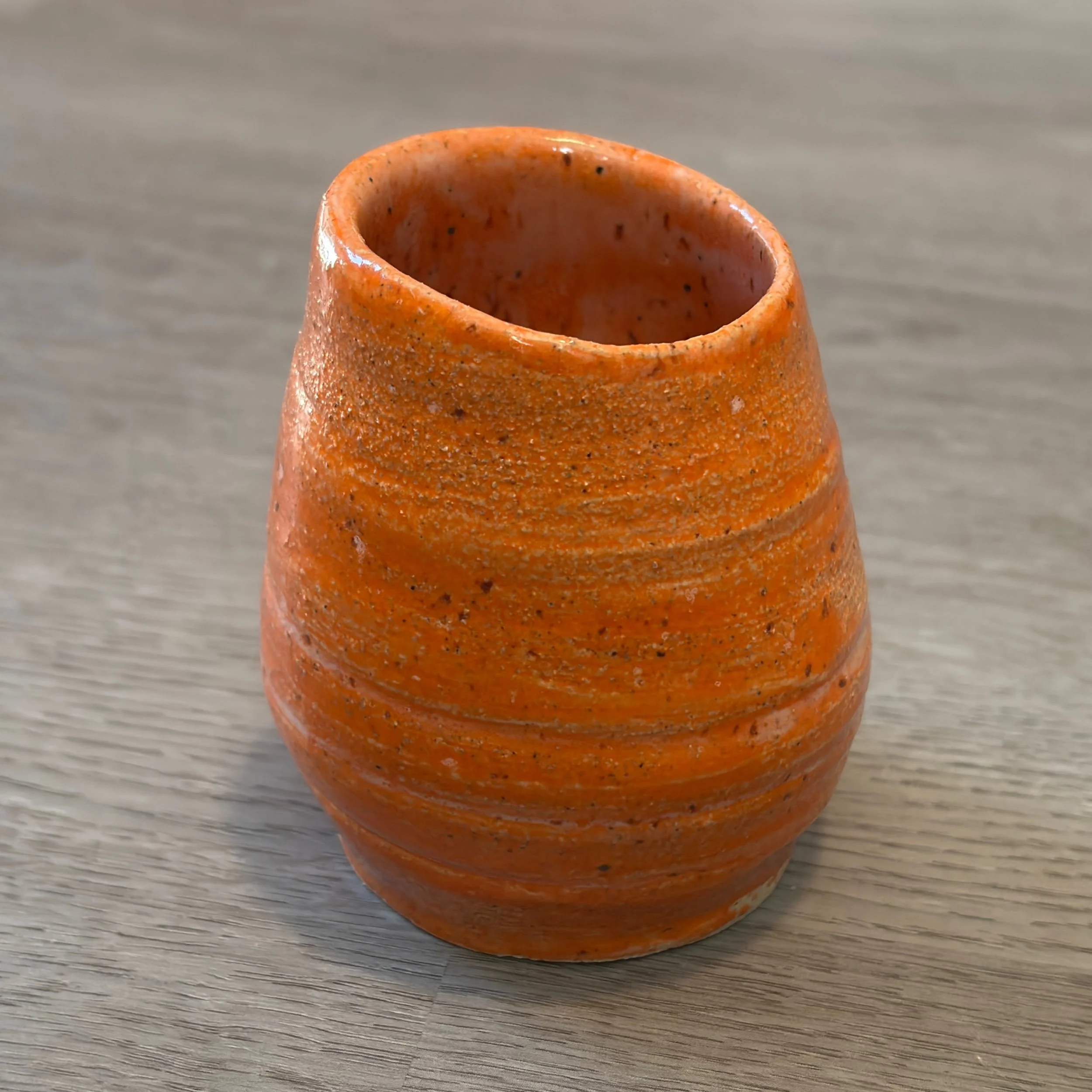 Desert Globemallow Succulent Vase