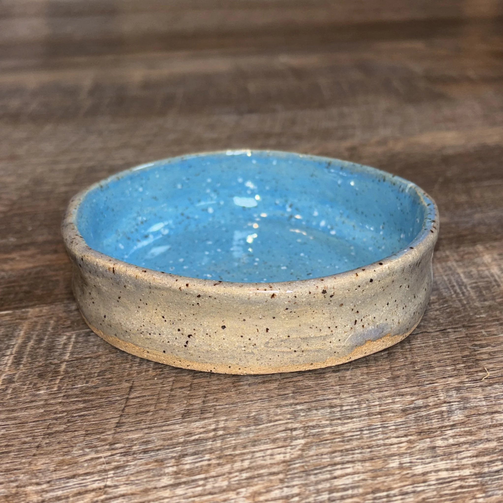 Gray & Blue Cat Food Bowl