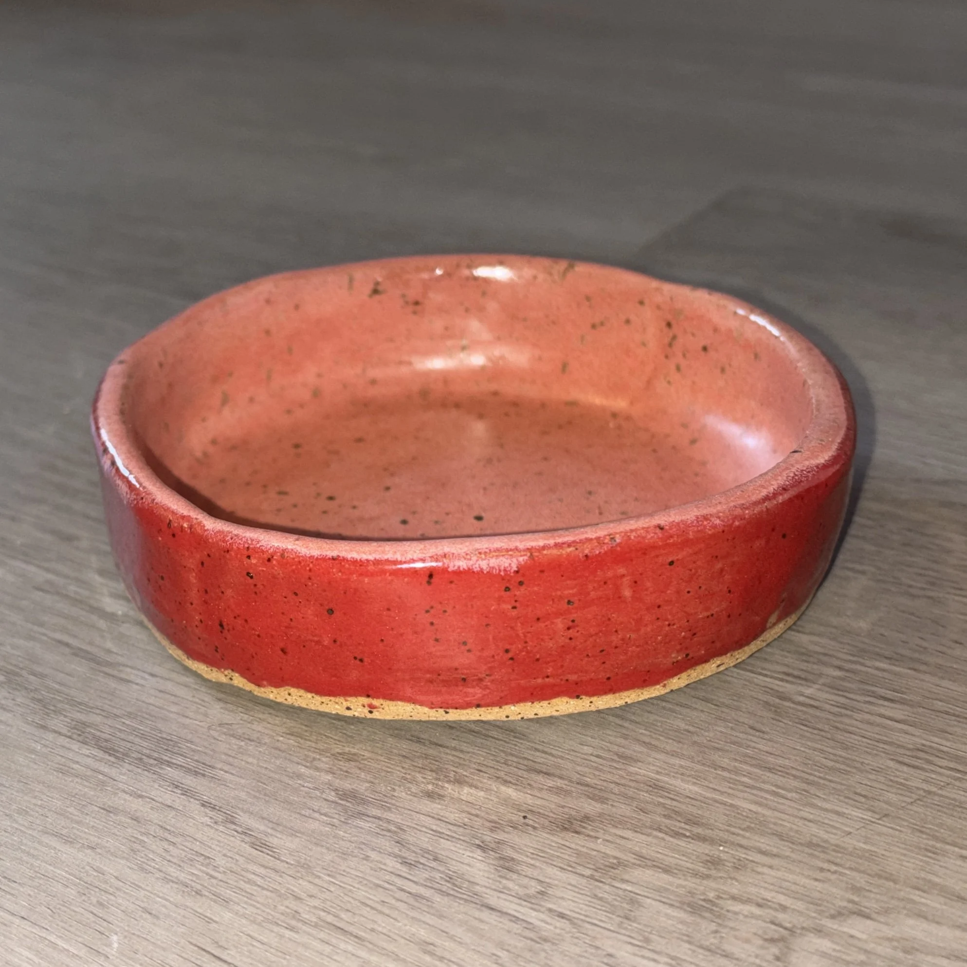 Red & Pink Cat Food Bowl