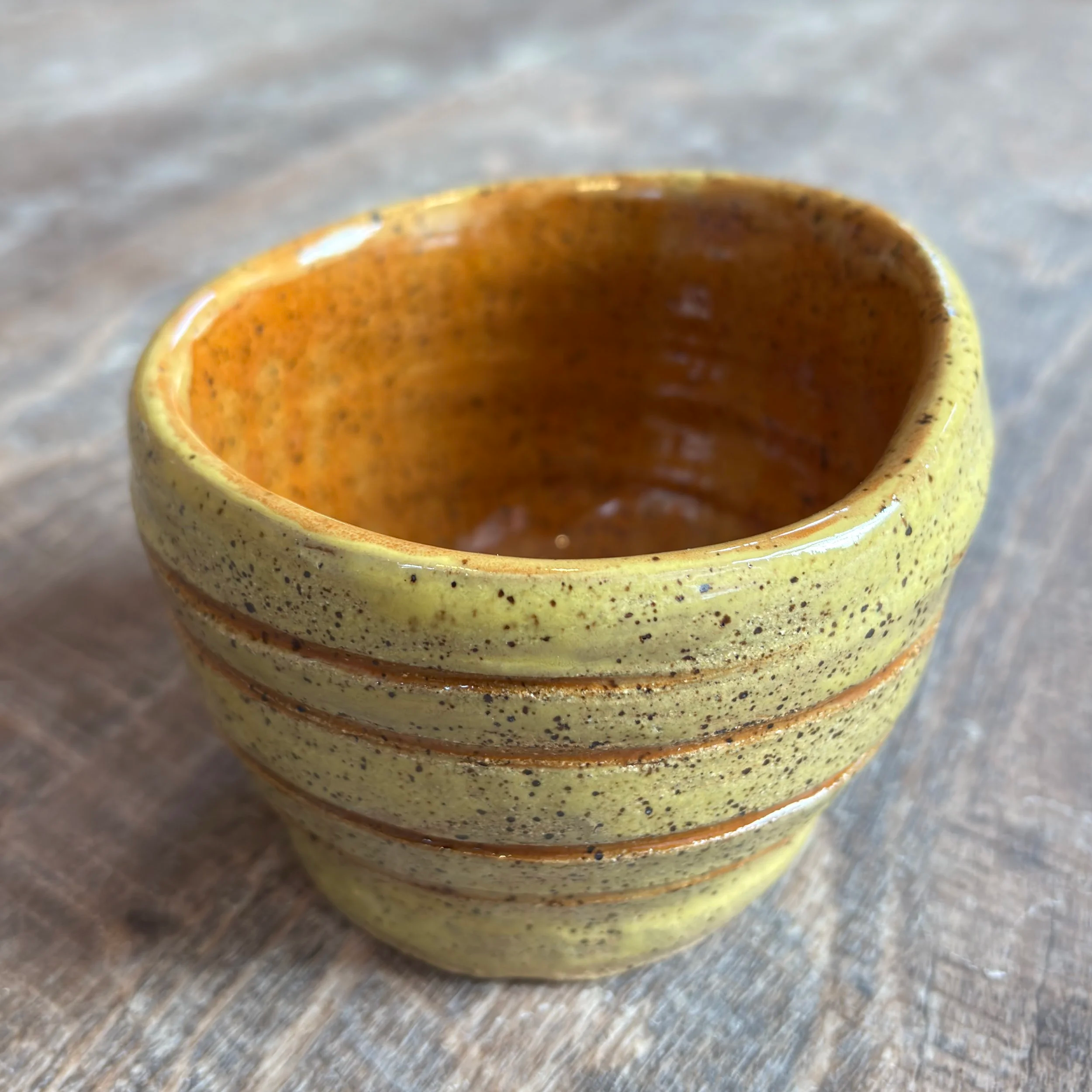 Groovy Succulent Pot