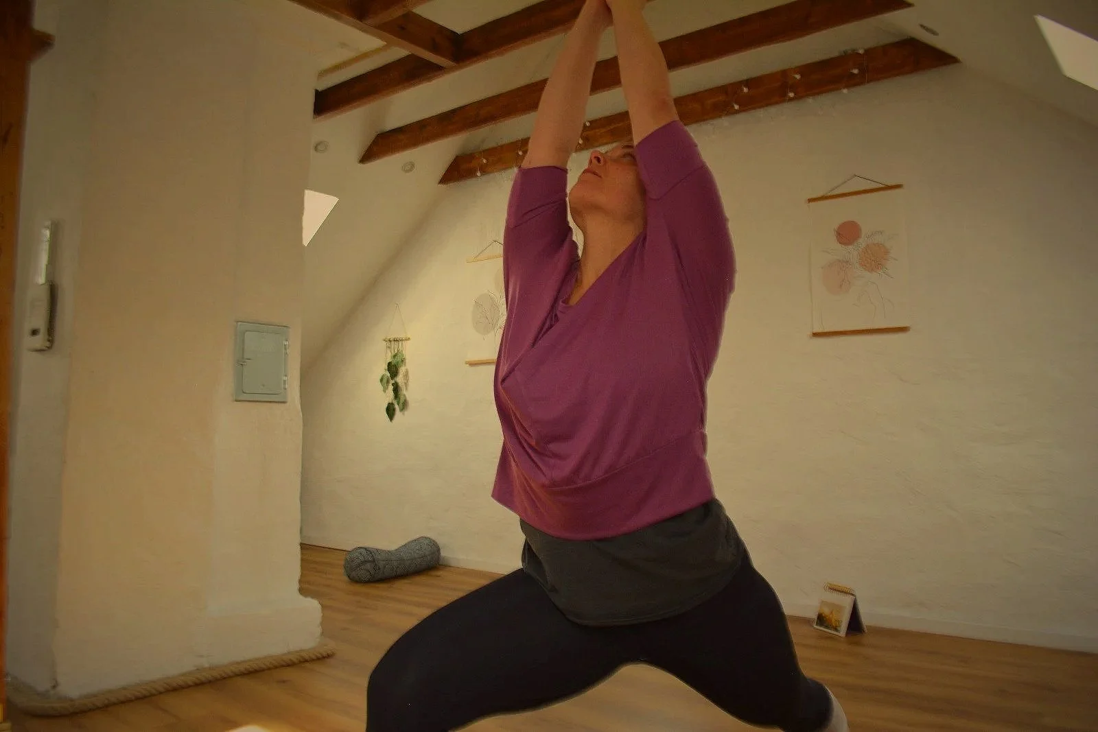 Ashtanga Vinyasa Yoga (Mysore Style)