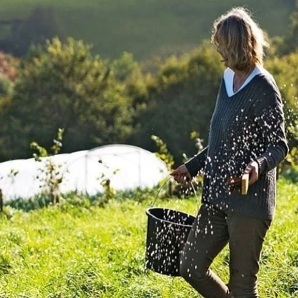 Celebrating the centenial birthday of Biodynamic Farming