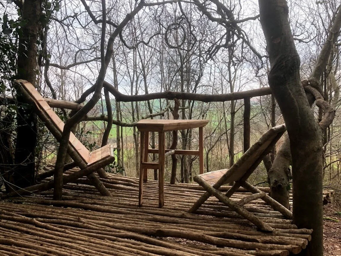How can the woodland environment help promote human wellbeing
