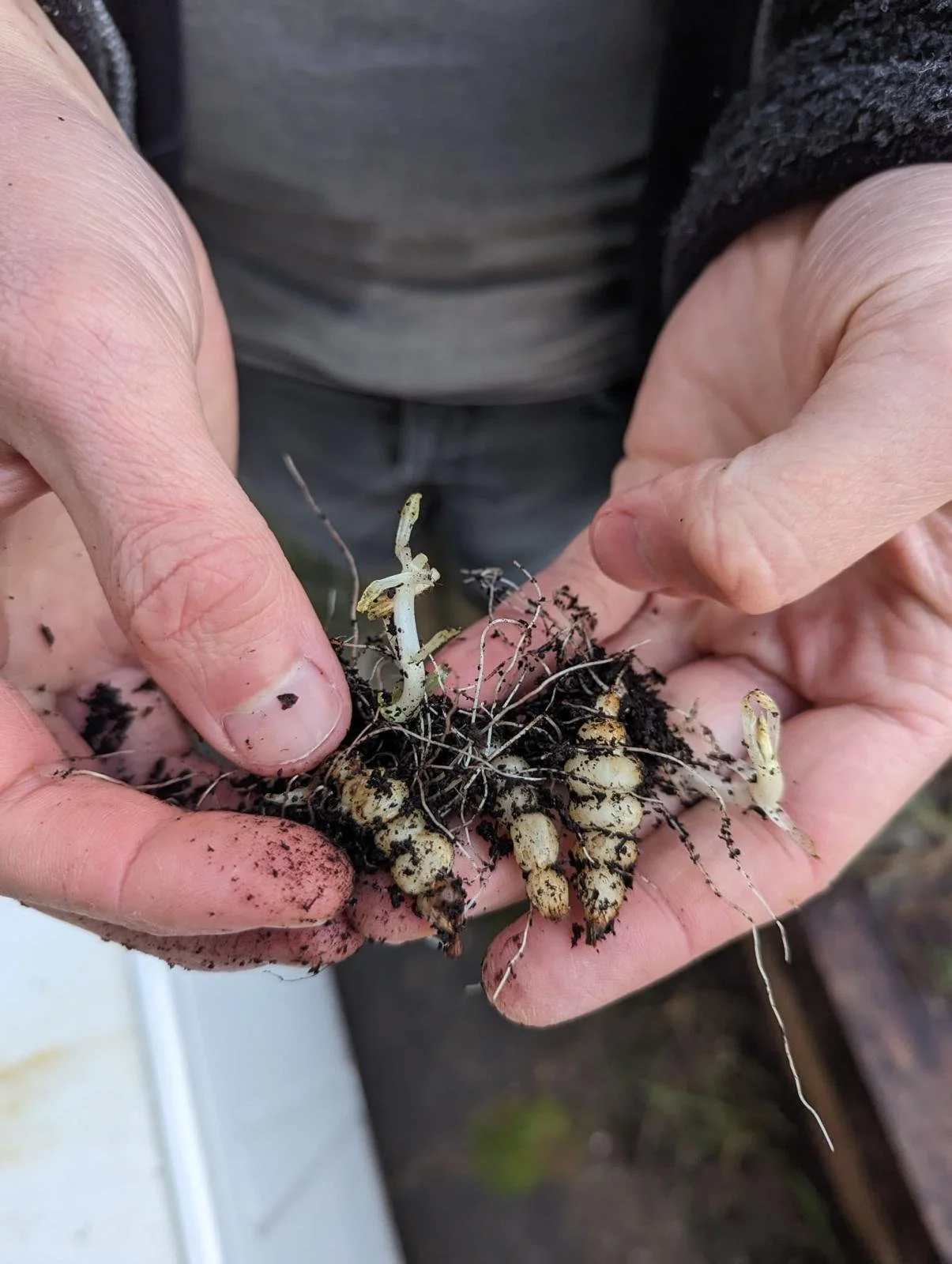 WhatsApp Image 2024-03-05 at 12.04.12 (5).jpeg