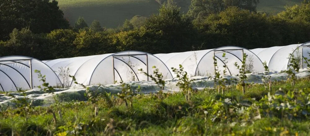 Permaculture Design Course with Bob Mehew &amp; Marina O'Connell