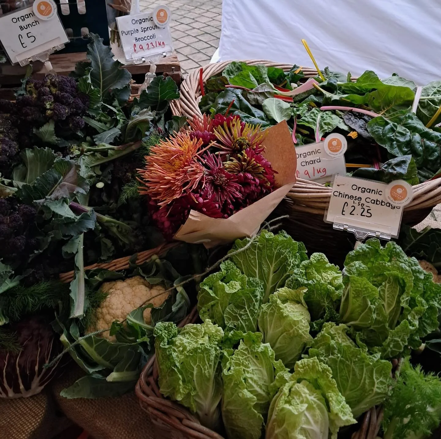 Market day is nearly here! Stock up on beautiful biodynamic and organic veg from us at @totnesmarket tomorrow!
#marketday #biodynamicfarming #agroecologicalfarming