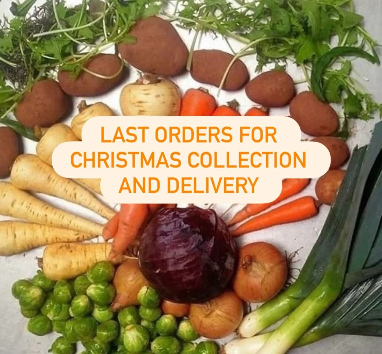 Last Chance To Order Your Christmas Veg Box! 

Head to https://apricotcentre.ooooby.org/ to get started and secure your produce!

We&rsquo;re a one stop shop for all you&rsquo;ll need to see you through the festive period, not just the big day! 3 fes