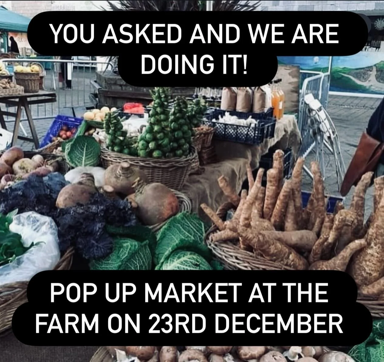 Pop-Up Market @ Apricot Centre on 23rd December, 10 - 3.

We are holding a market at the farm on Tuesday so head on down to top-up on anything you might need. We&rsquo;ll have all the bits you&rsquo;ll need to do a complete shop to see you through th