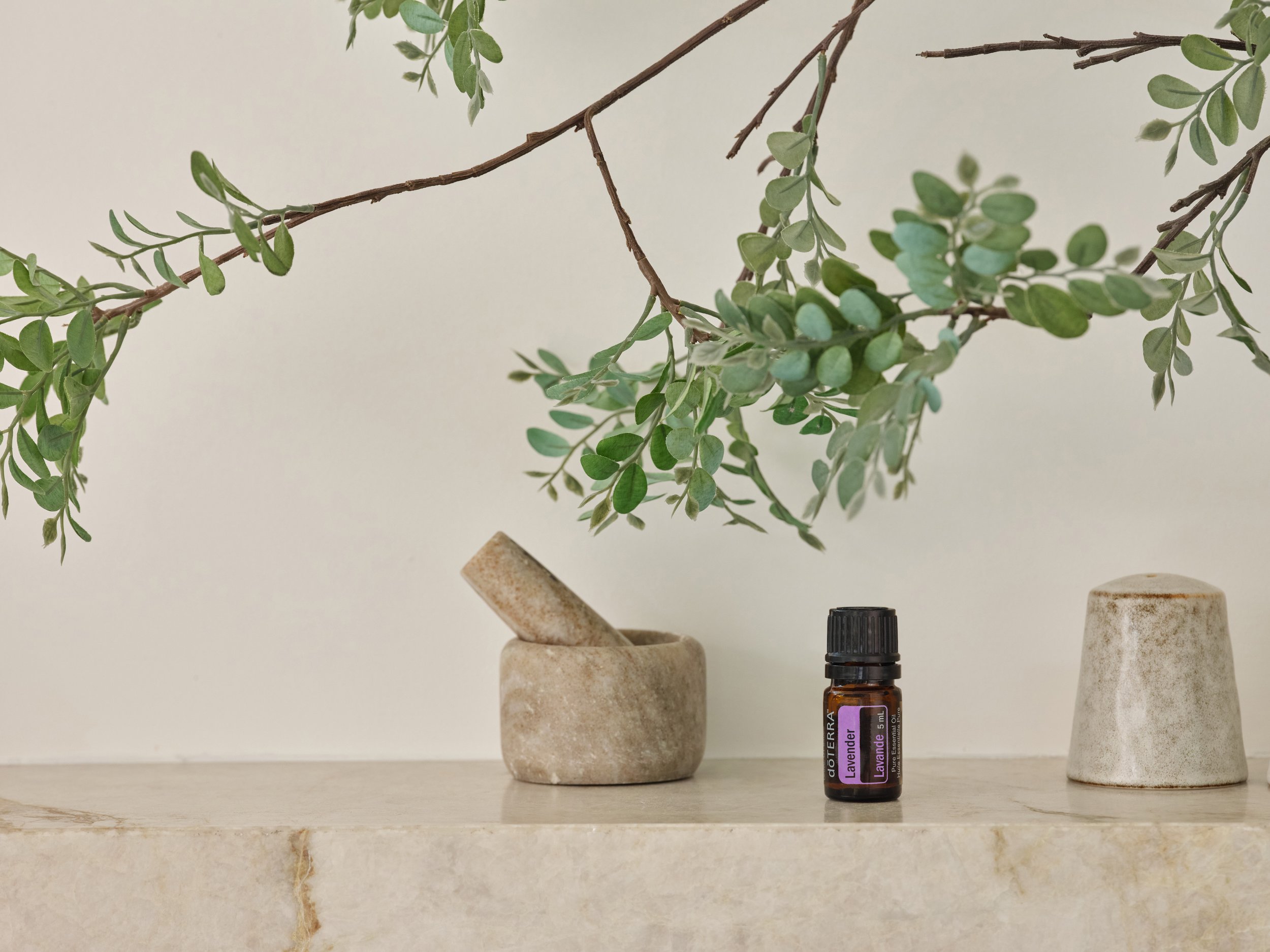 Bringing the Forest Home 