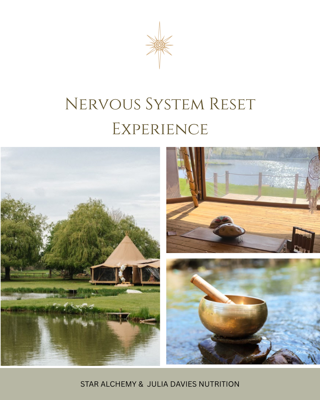 Nervous System Reset Experience