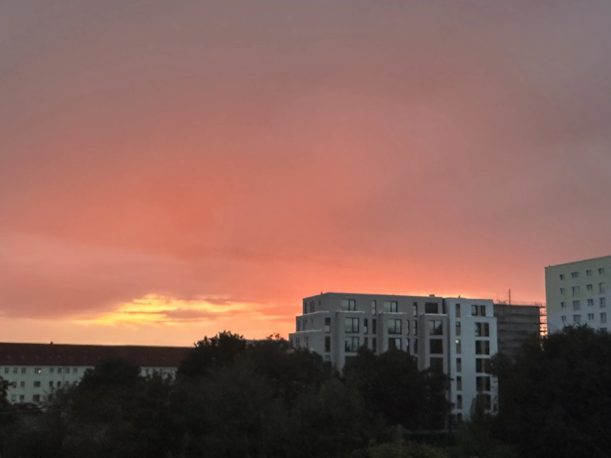 sunset in berlin-min.jpeg