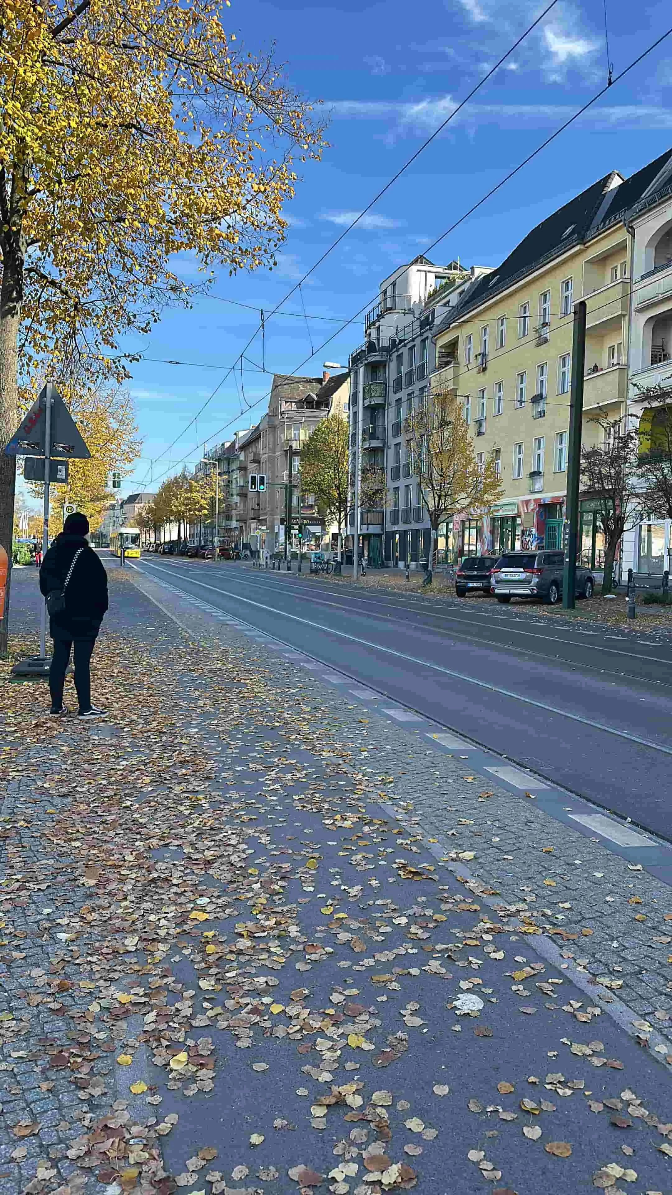 fall in Berlin -min.jpg