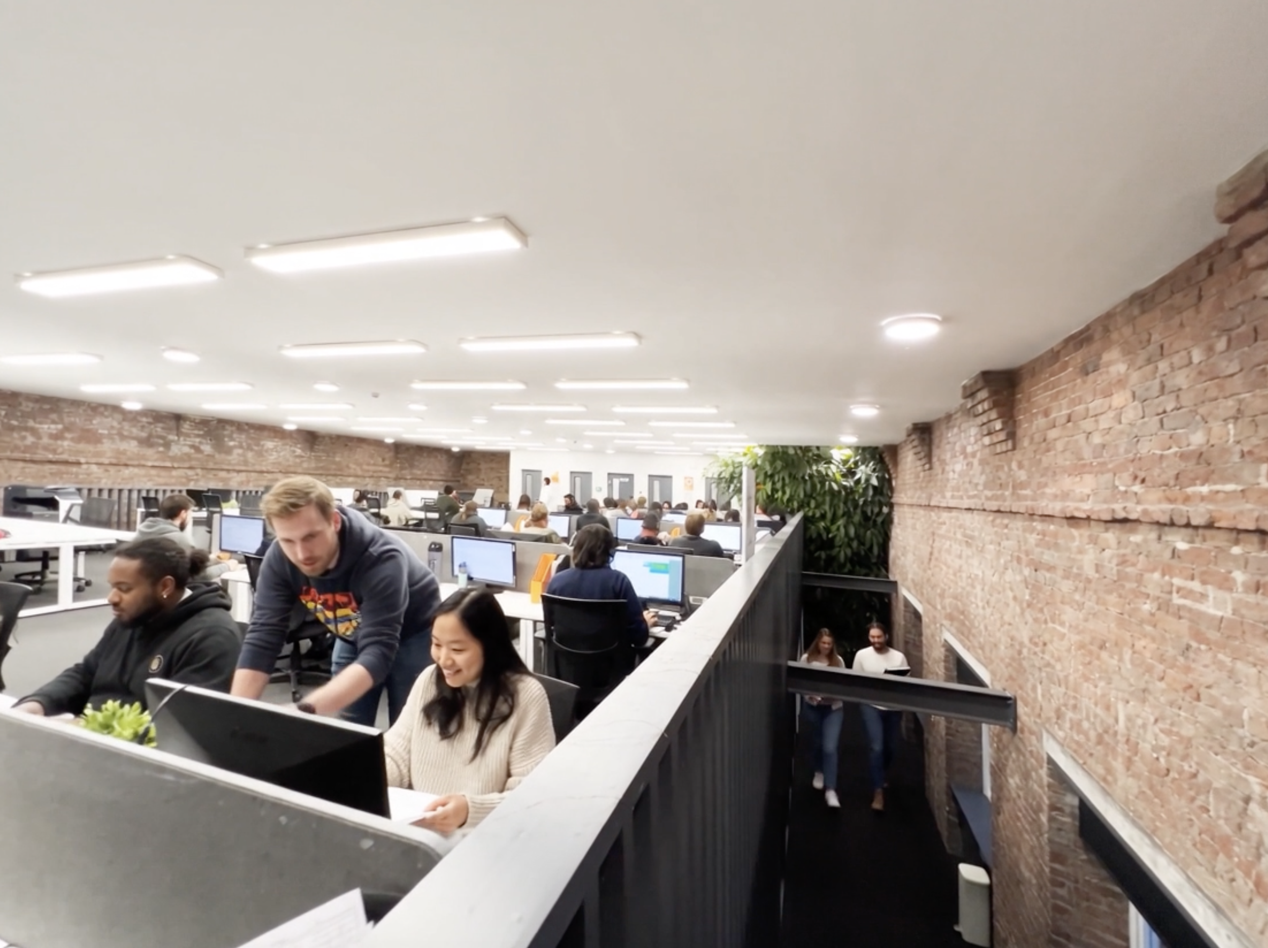 An office workspace filled with people working at desks with computers, with exposed brick walls and ceiling lights, and some large green plants.