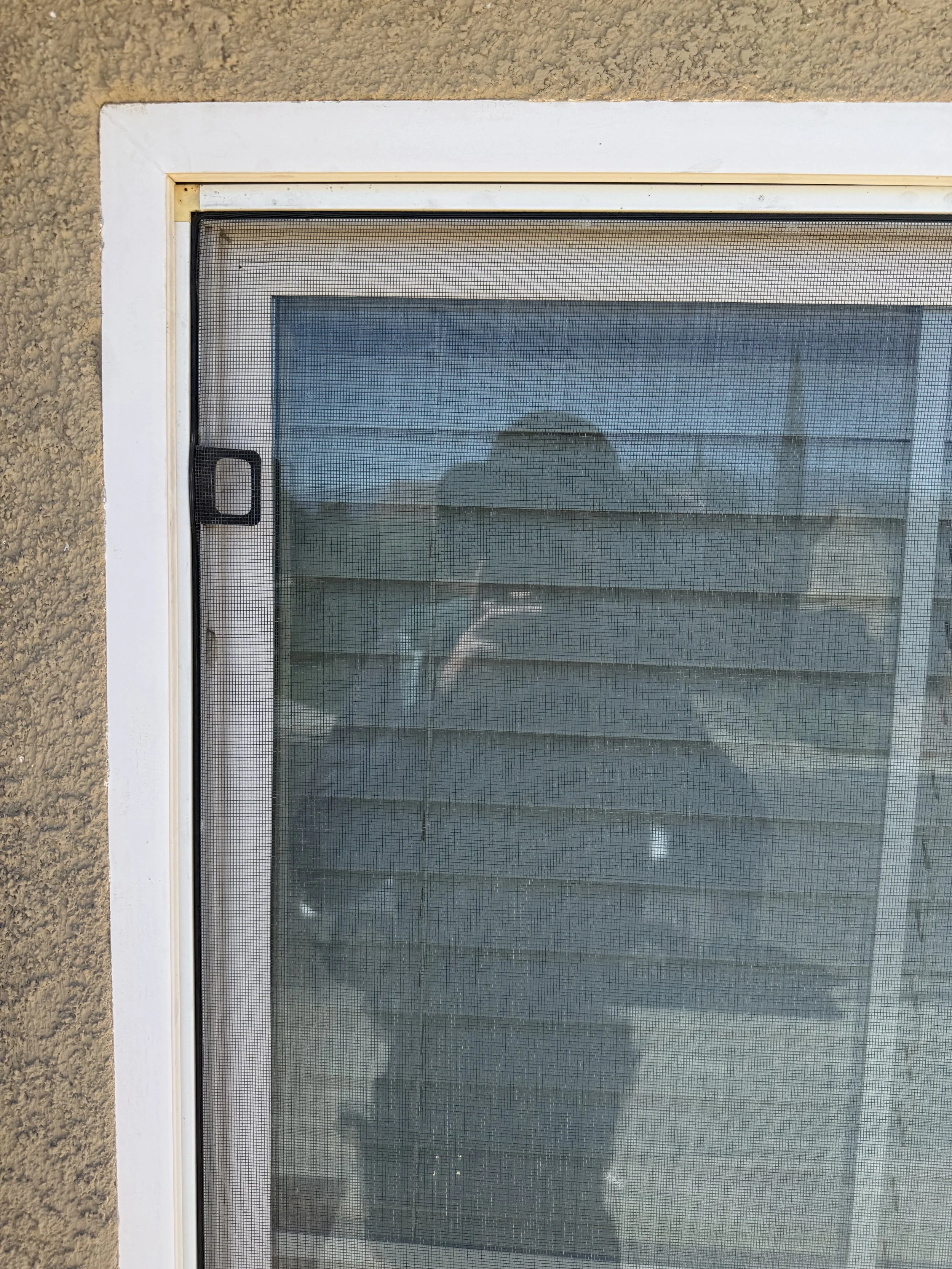 Spotless residential window glass and clean mesh screen installed on a stucco home exterior.