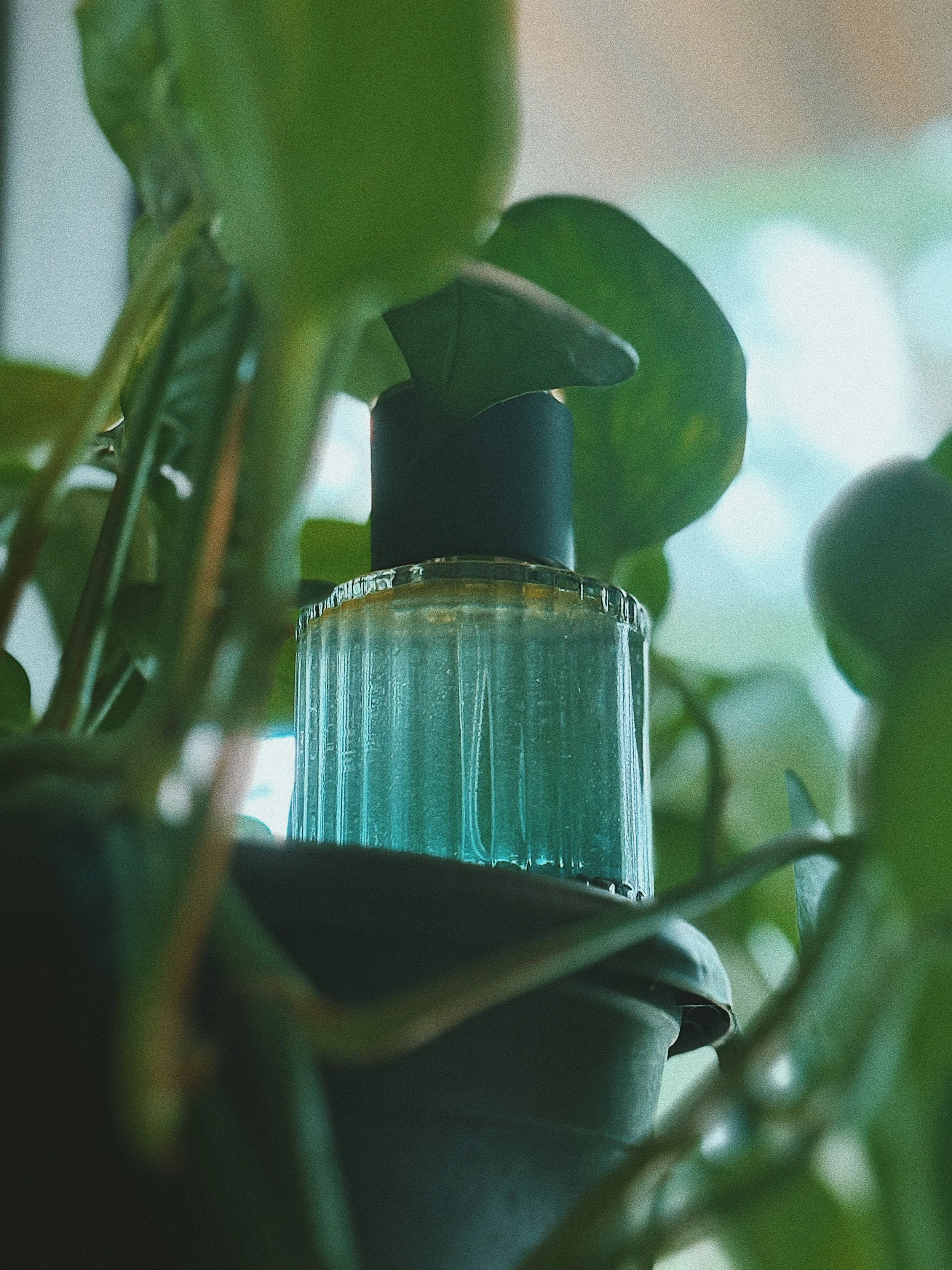 FullSizeRender_VSCO 2.JPG