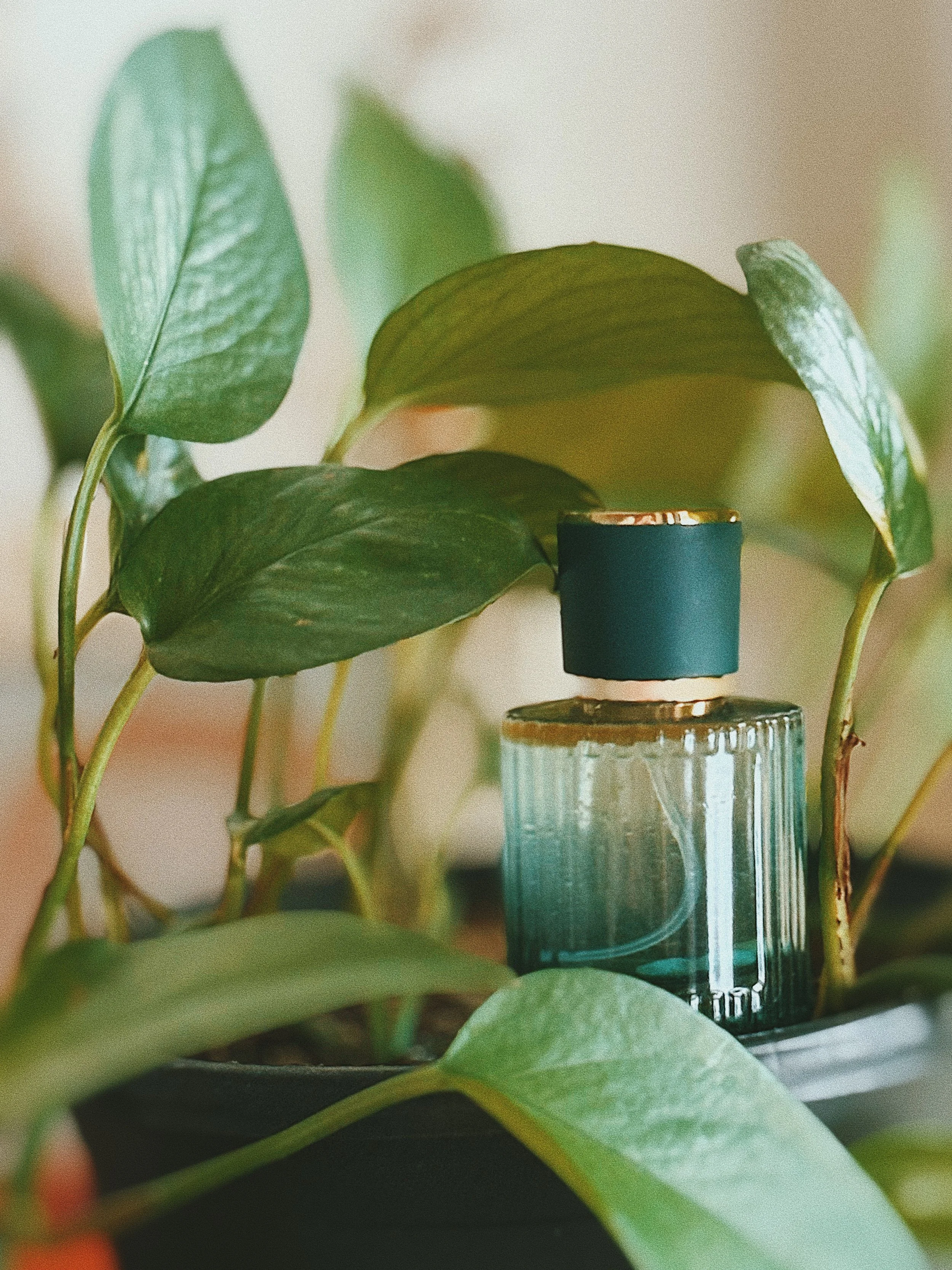 FullSizeRender_VSCO 3.JPG