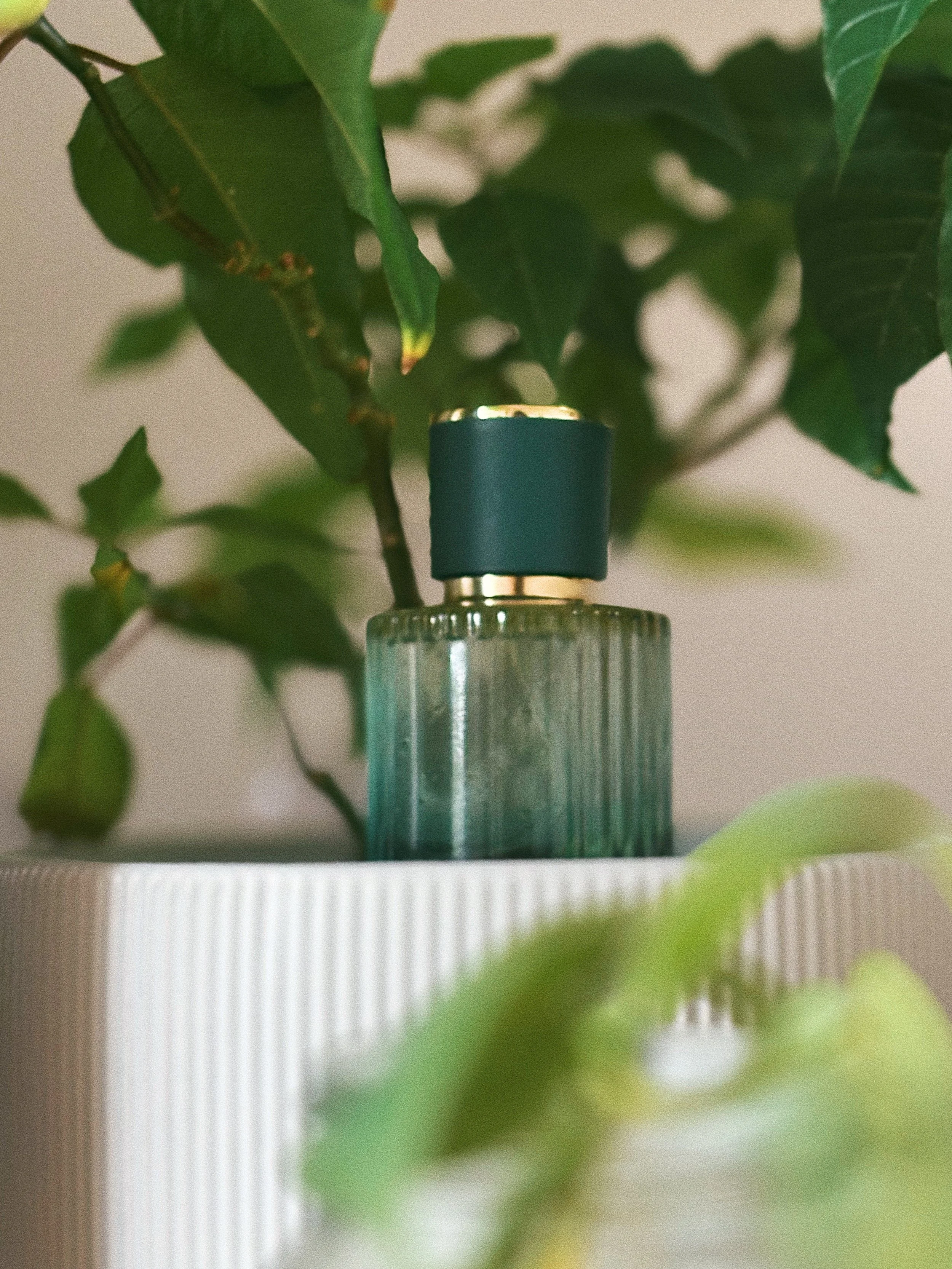 Seasonal Mist: Eucalyptus Litha