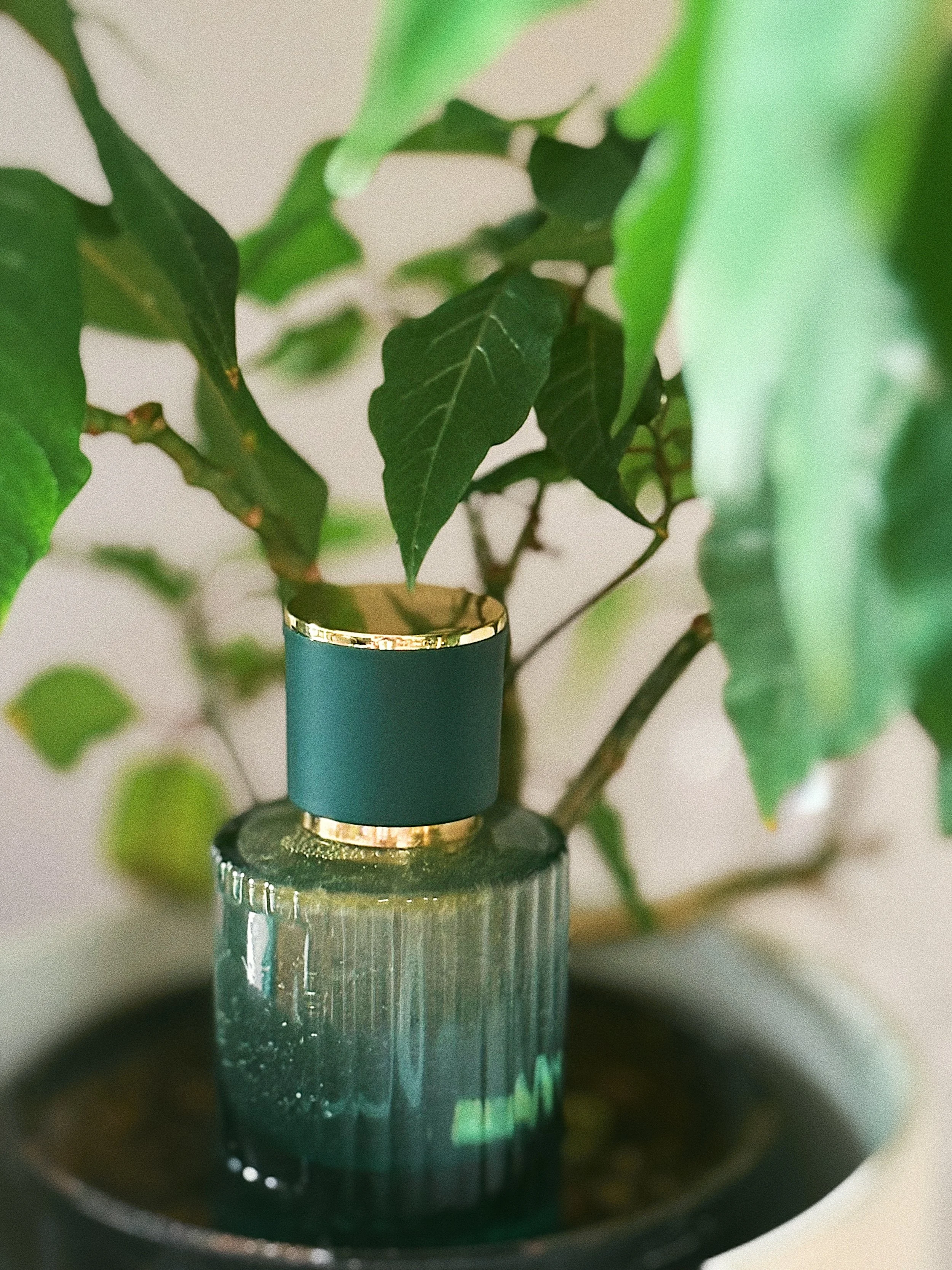 FullSizeRender_VSCO 4.JPG