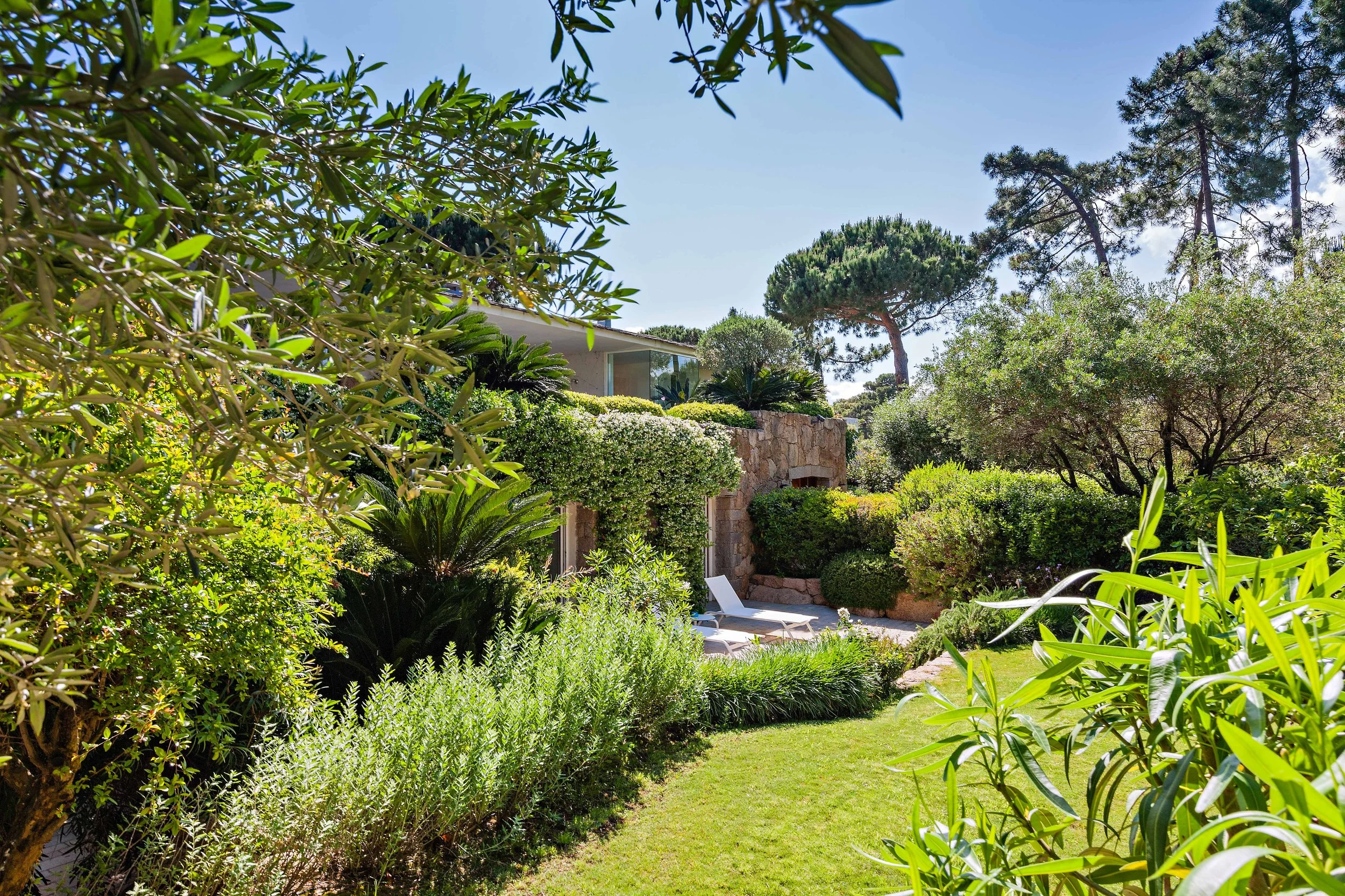 Jardin luxuriant avec plantes, buissons, et arbres, avec une maison en pierre en arrière-plan et des chaises longues au soleil.