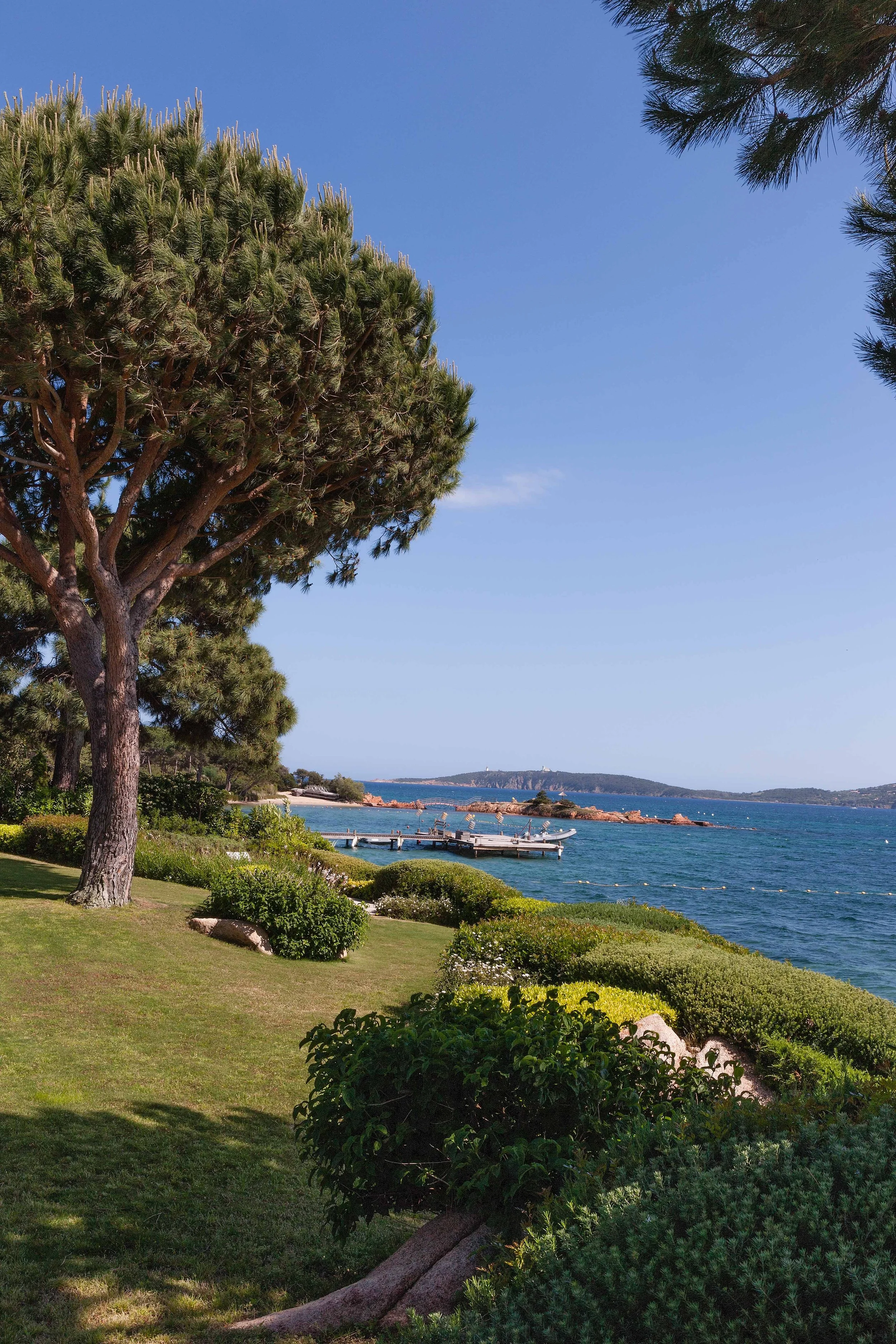 Paysage côtier avec arbres, pelouse et quai, vue sur la mer et une petite île au loin, ciel clair.