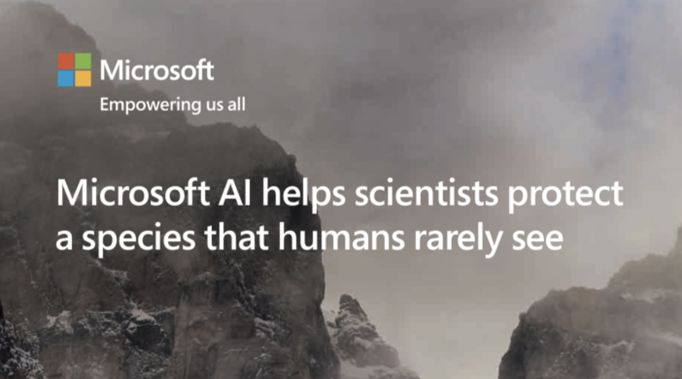 Microsoft AI