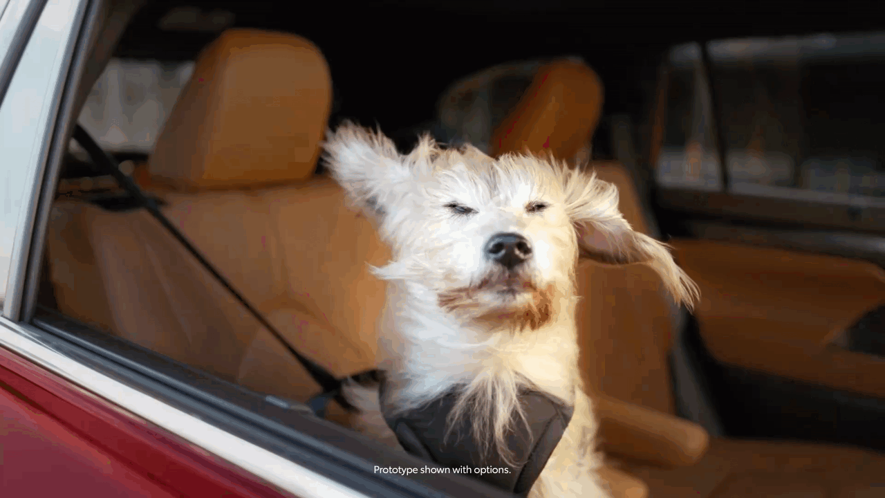 Toyota - Moments of Joy