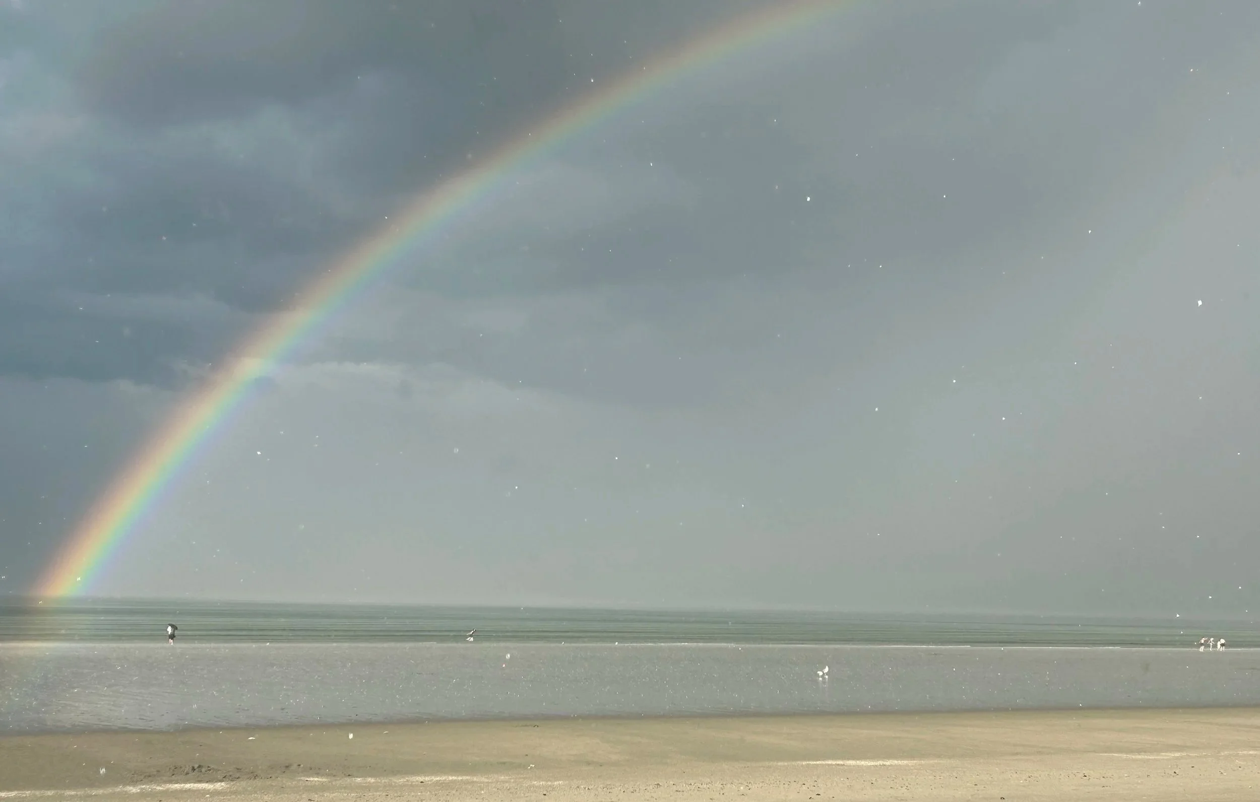 Bright rainbow over a calm beach with a person and seagulls near the shoreline, dark cloudy sky in the background.