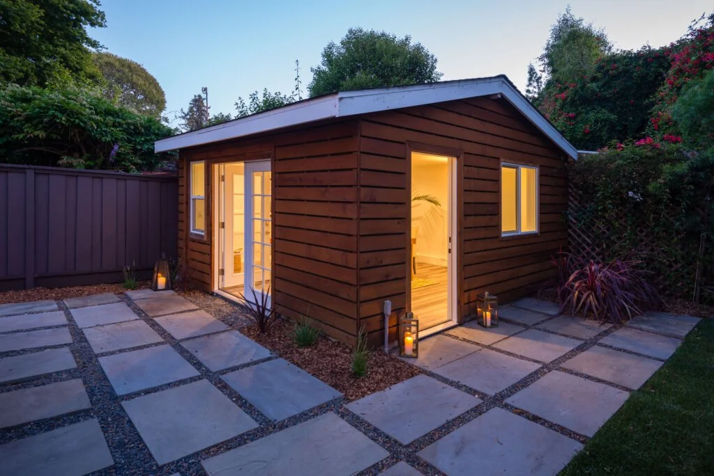 Field of white daisies with yellow centers in natural sunlight.