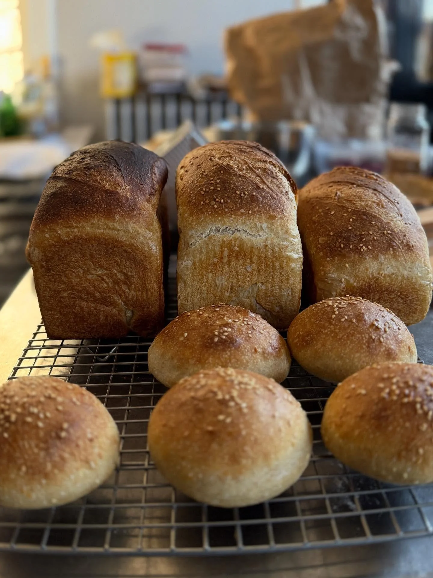 Temperature Checks are included in R&amp;D but managing to only slightly darken one loaf is a new skill for me! 
25% Whole Wheat with the addition of 5% Low Fat Milk Powder to increase softness and enrichment. #southeastsourdough #madeinanacostia #cu
