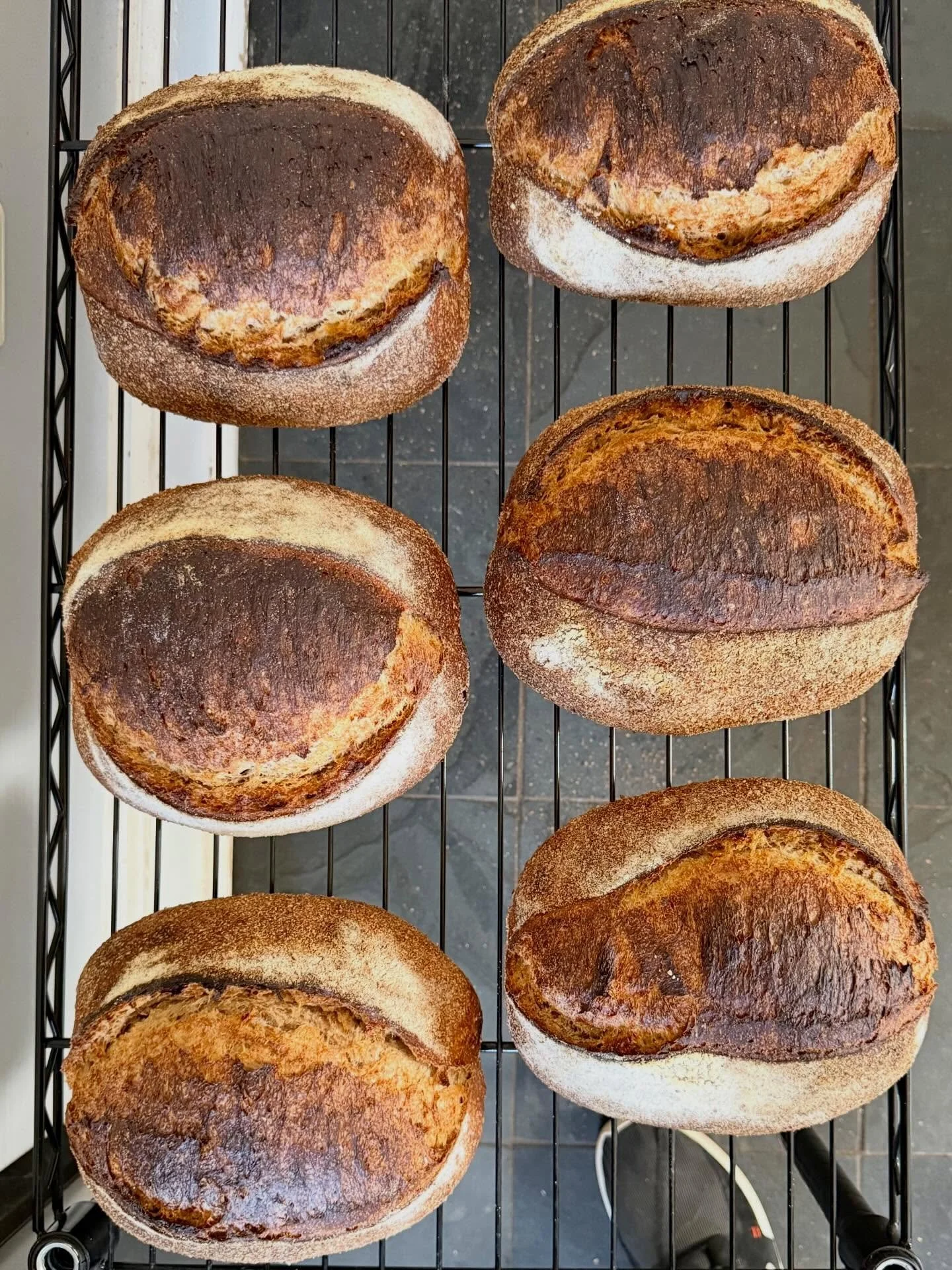 50% Fresh Milled Whole Wheat Sourdough Rustic Loaf!

My favorite style to shape these loaves is the &ldquo;Batard&rdquo;.
It&rsquo;s the perfect shape for sandwiches and toast. 

I&rsquo;m getting close to a consistent baking method. This method uses