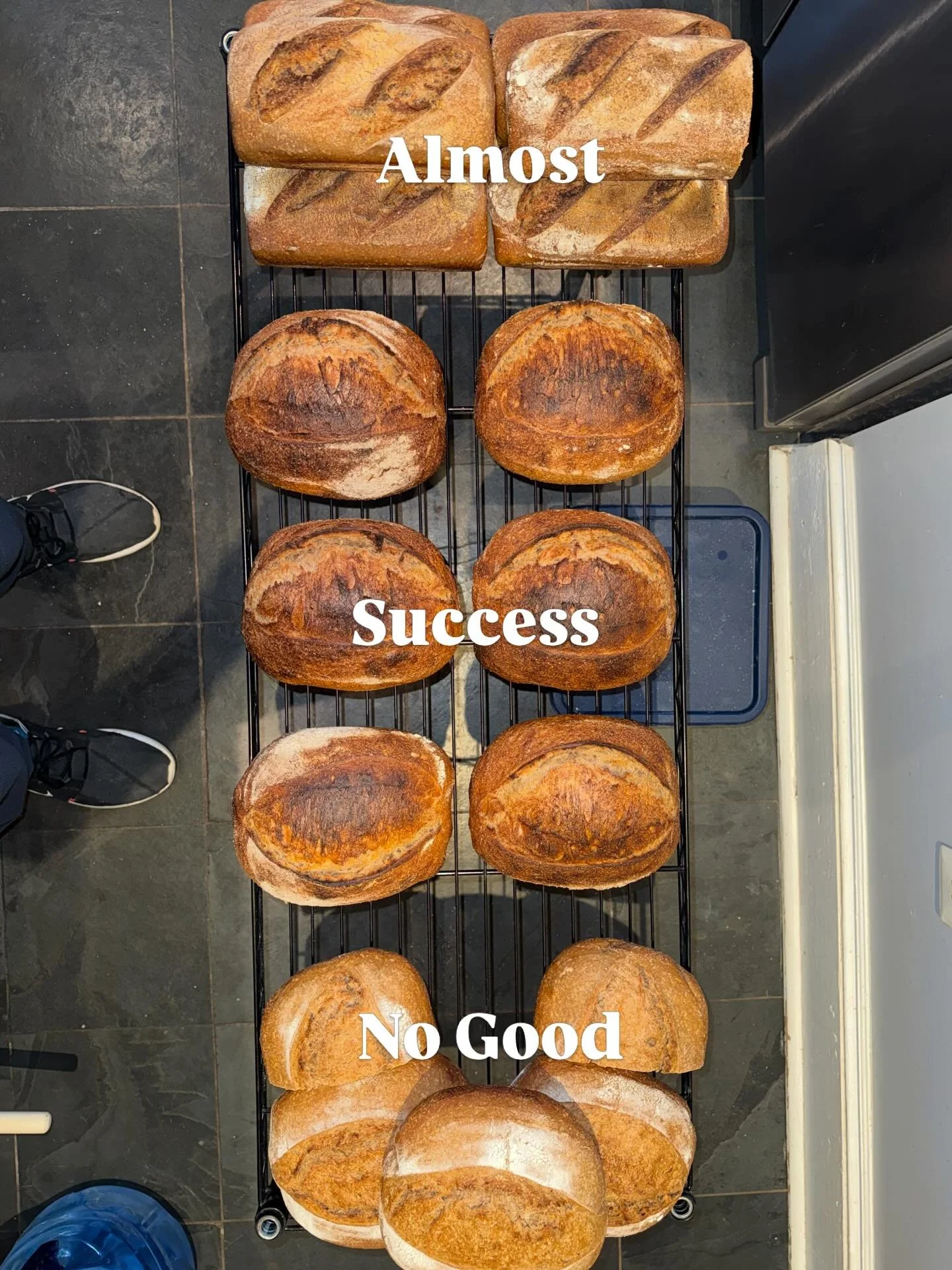 Documenting all bakes is important for future bakes. 
The heat spike yesterday sped up my fermentation and well the results are clear! 
I was able to make a new batch yesterday and now I have some sourdough breadcrumbs to make. 

#southeastsourdough 