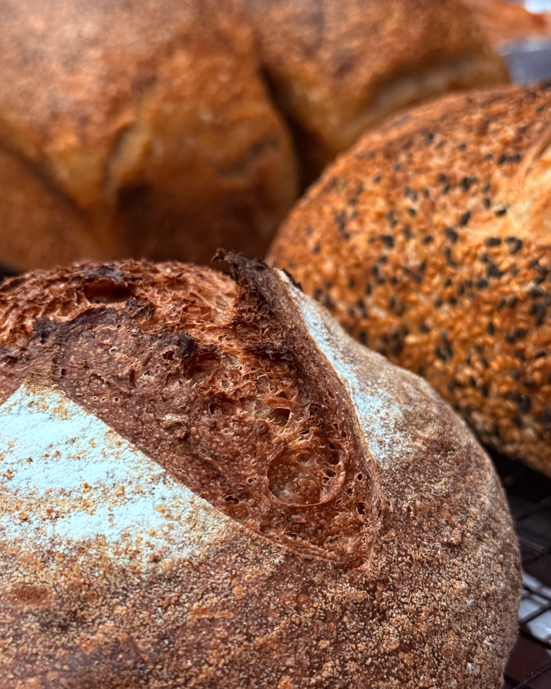Close-up of assorted artisan bread loaves, showing crusty textures and embedded grains.