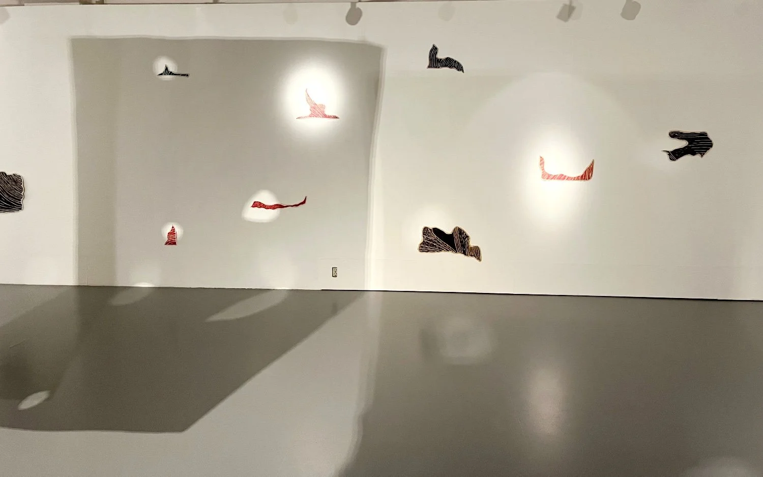 Shadow play. Installation view., 2024. Photo. I.T.K