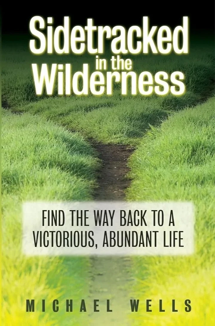 Book cover for "Sidetracked in the Wilderness" by Michael Wells, featuring a grassy trail leading into the wilderness with the subtitle "Find the way back to a victorious, abundant life".